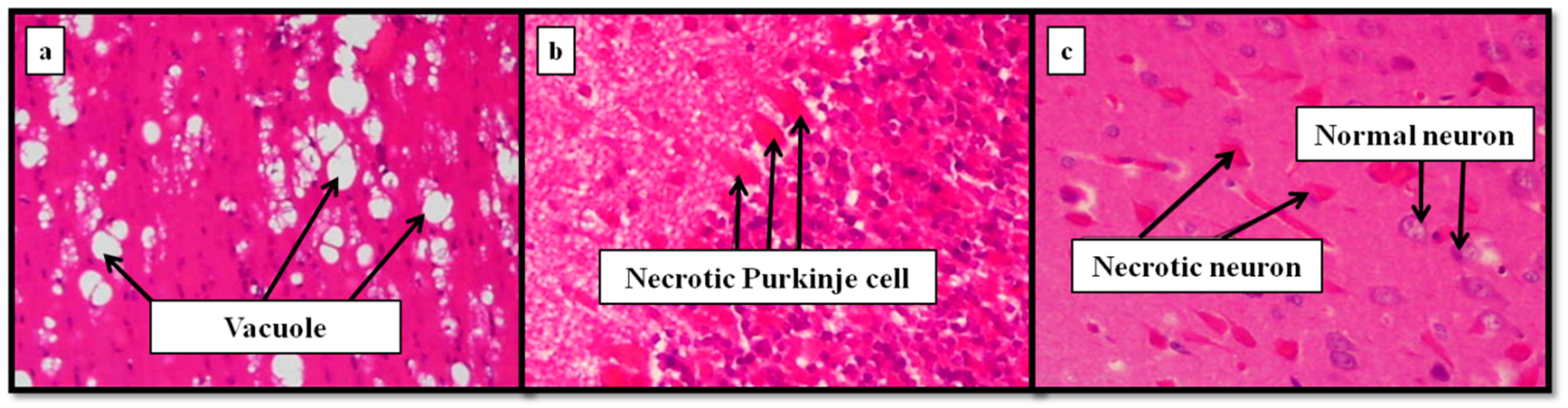 Nutrients 11 01558 g005