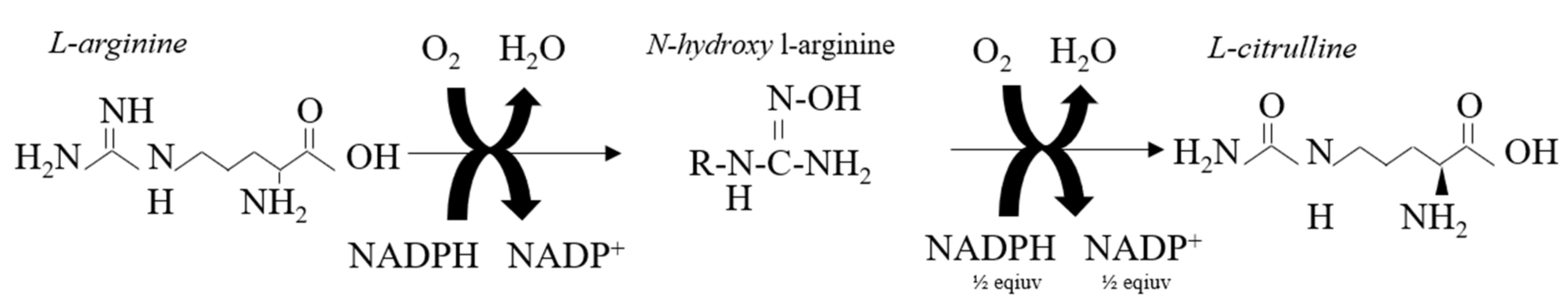 Nutrients 11 01571 g001