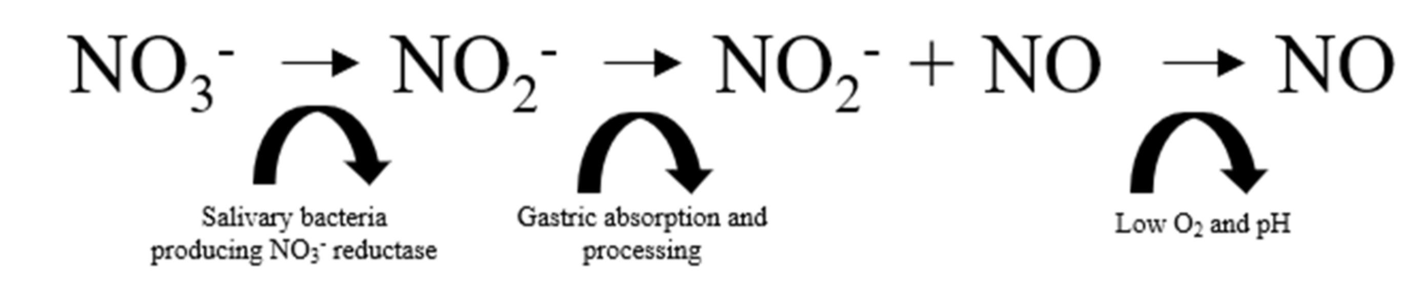 Nutrients 11 01571 g002