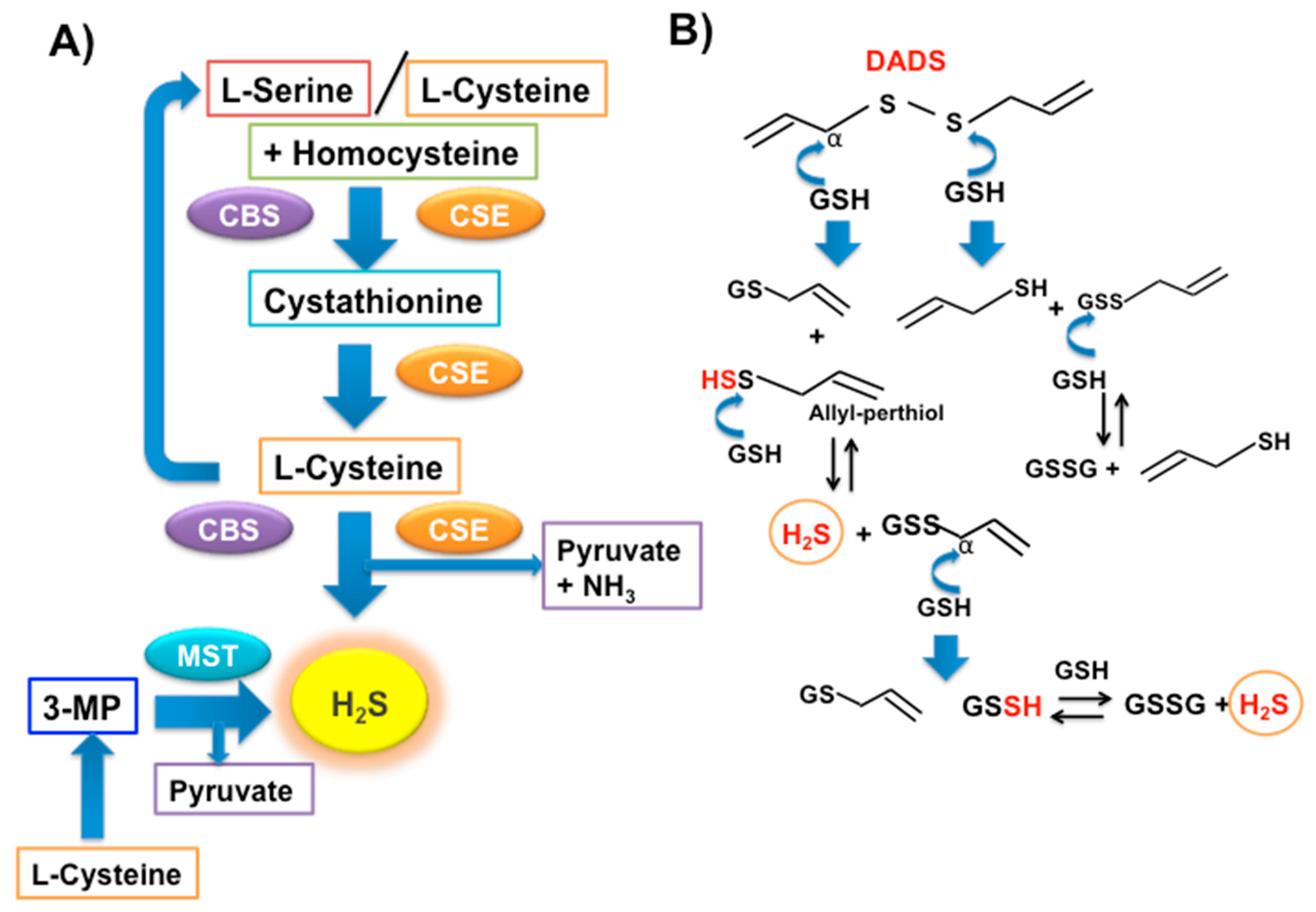 Nutrients 11 01581 g004