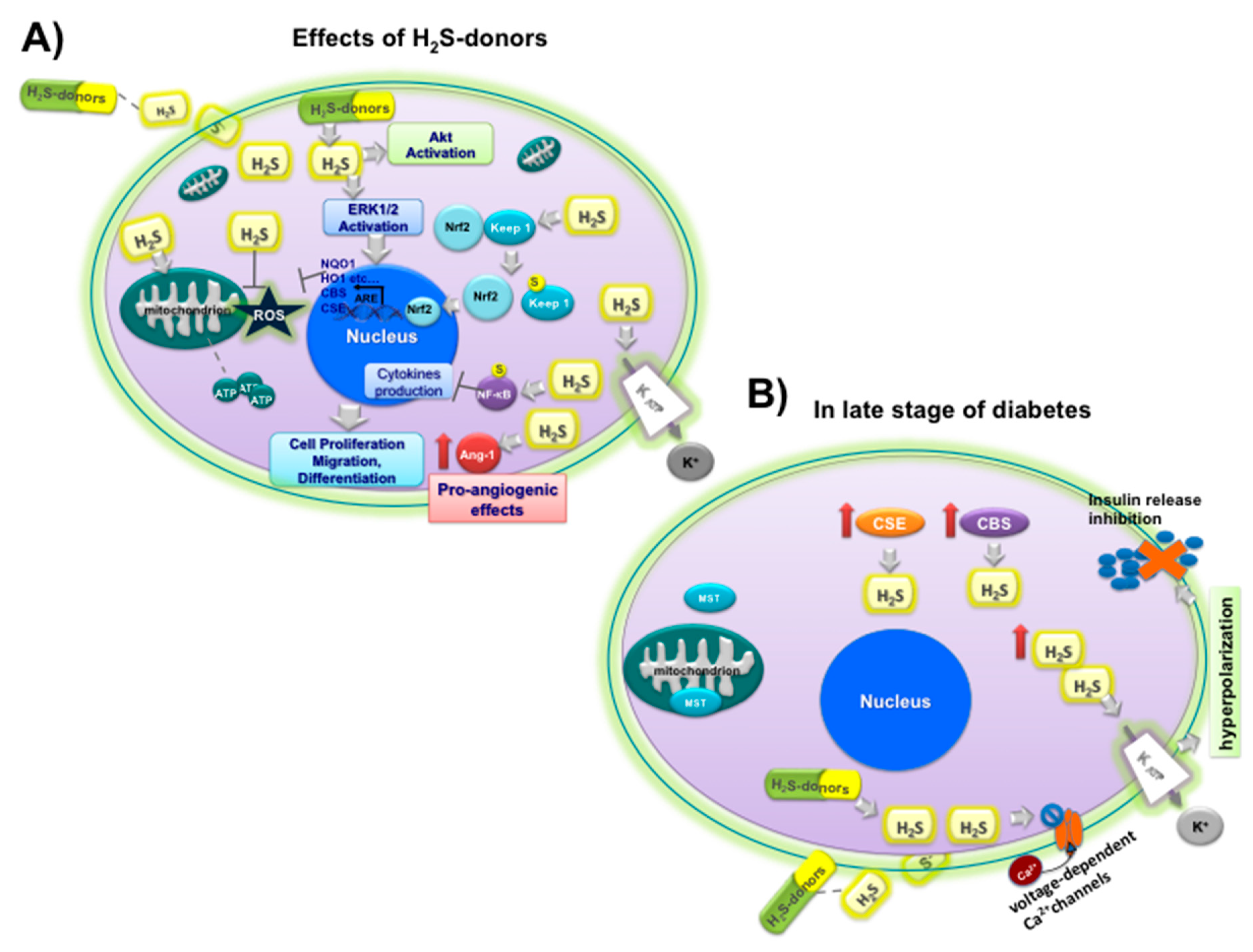 Nutrients 11 01581 g005