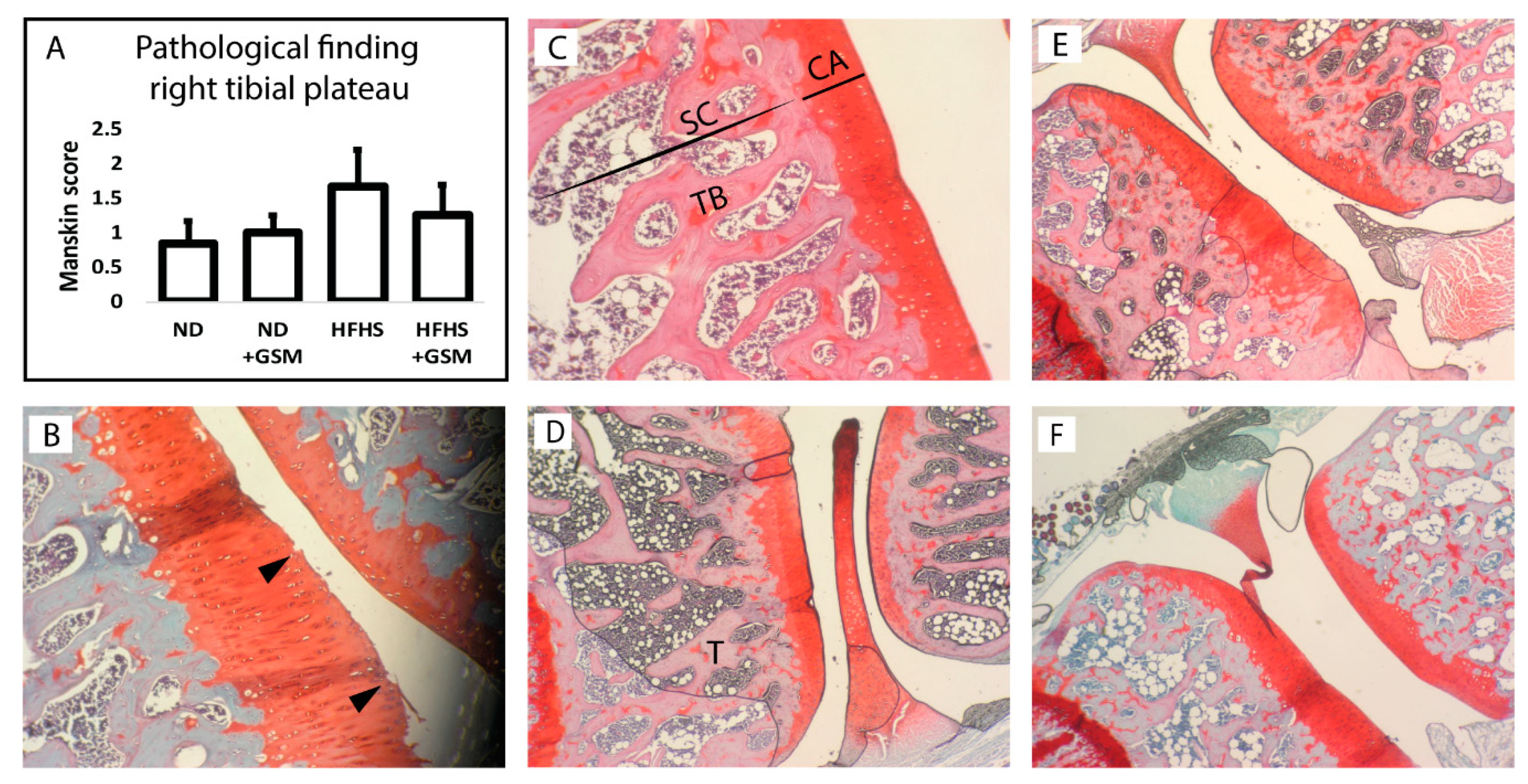Nutrients 11 01601 g003
