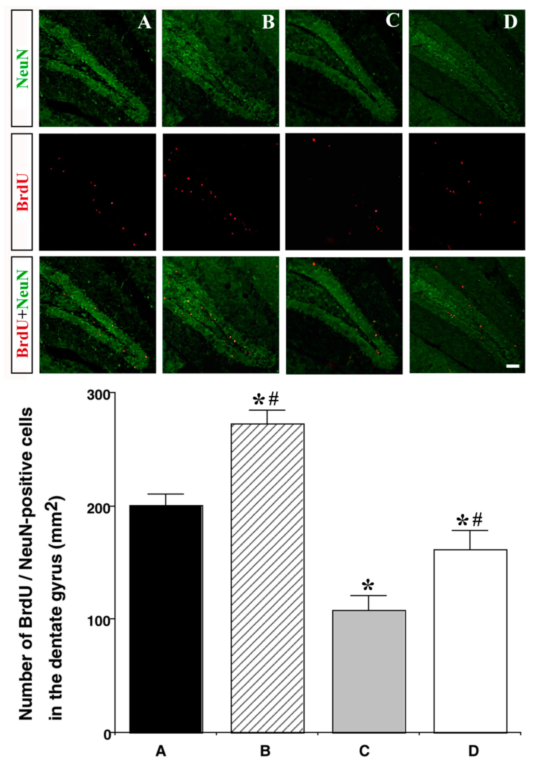 Nutrients 11 01603 g005