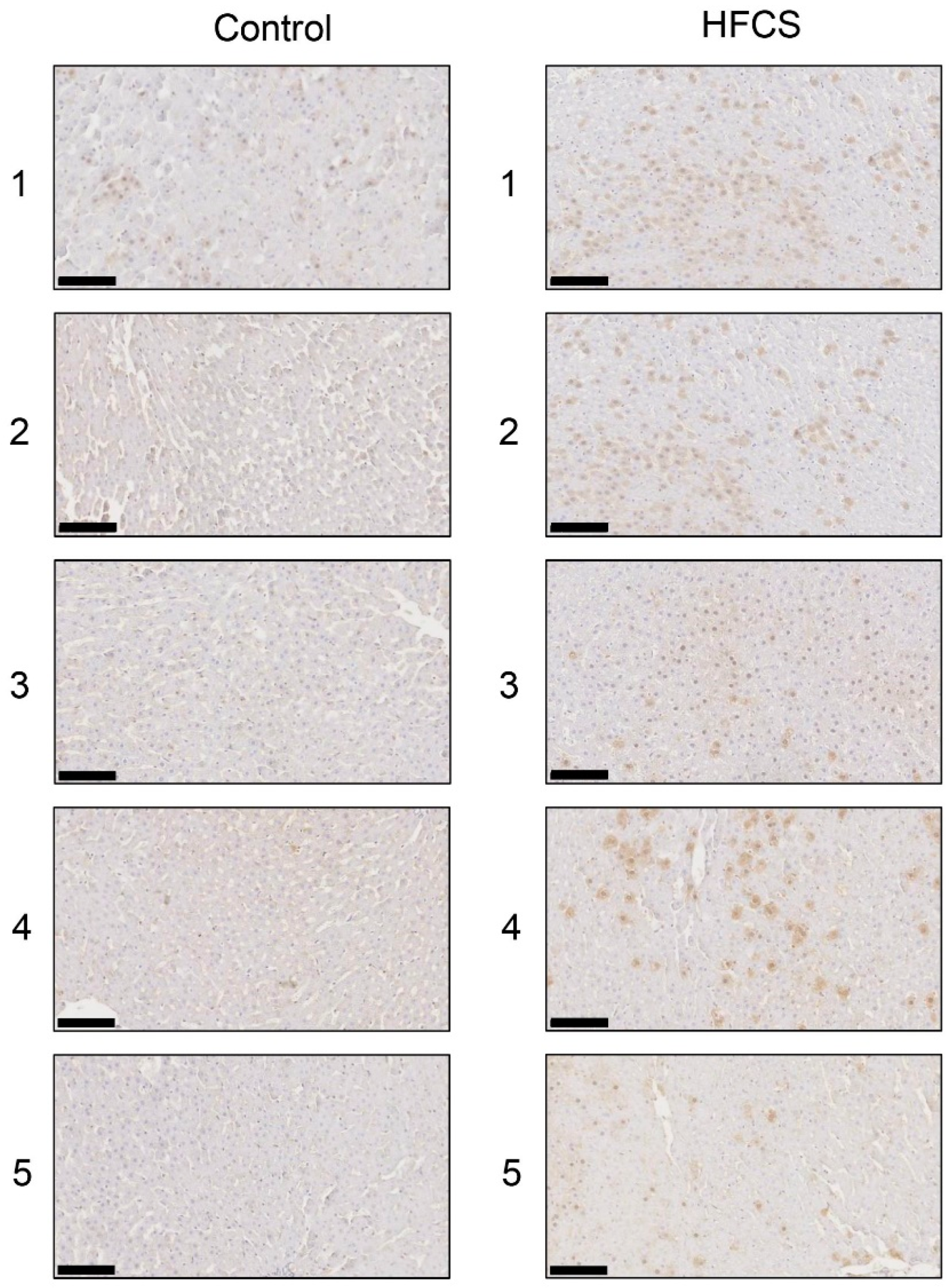Nutrients 11 01612 g006