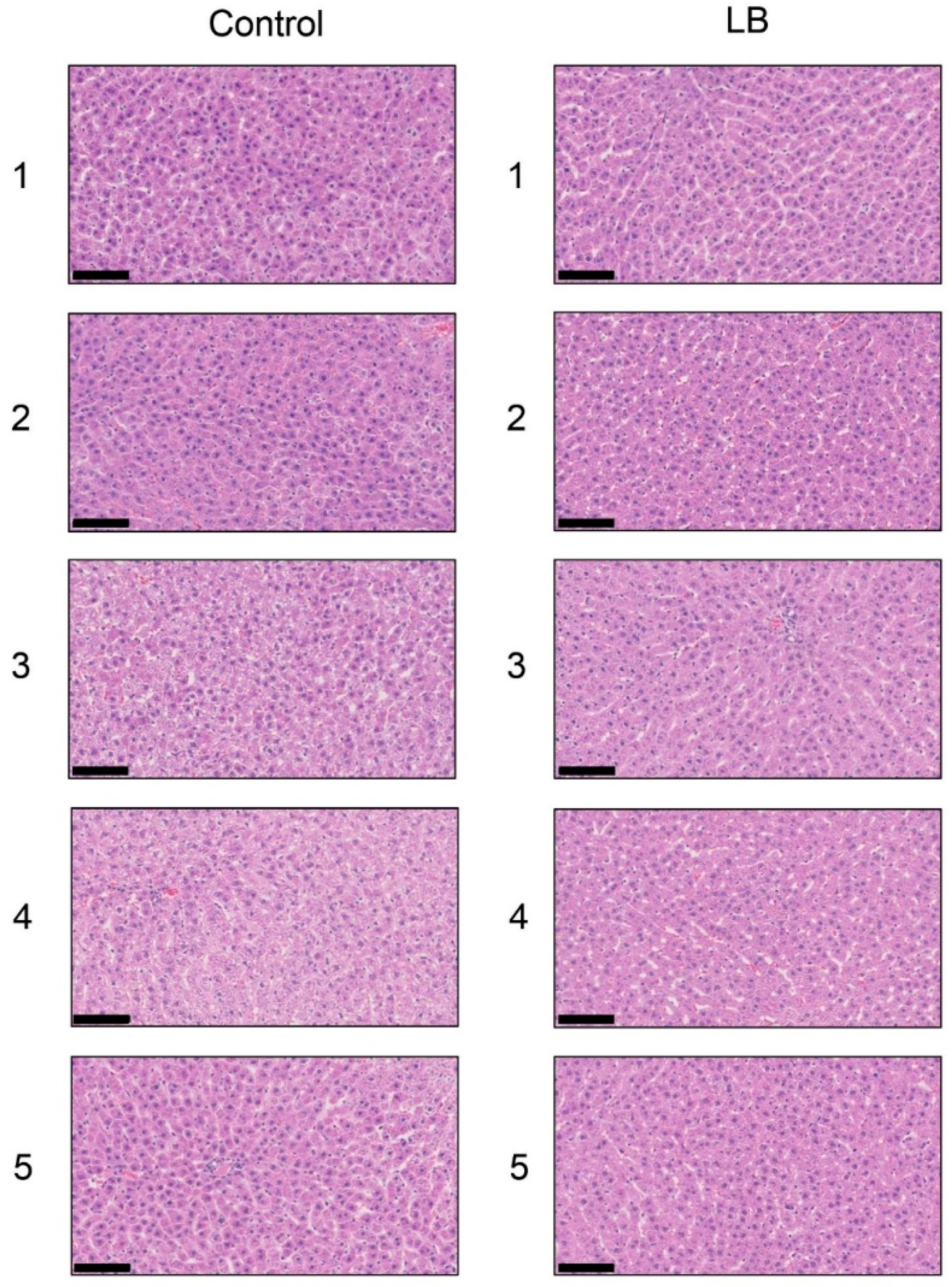 Nutrients 11 01612 g008