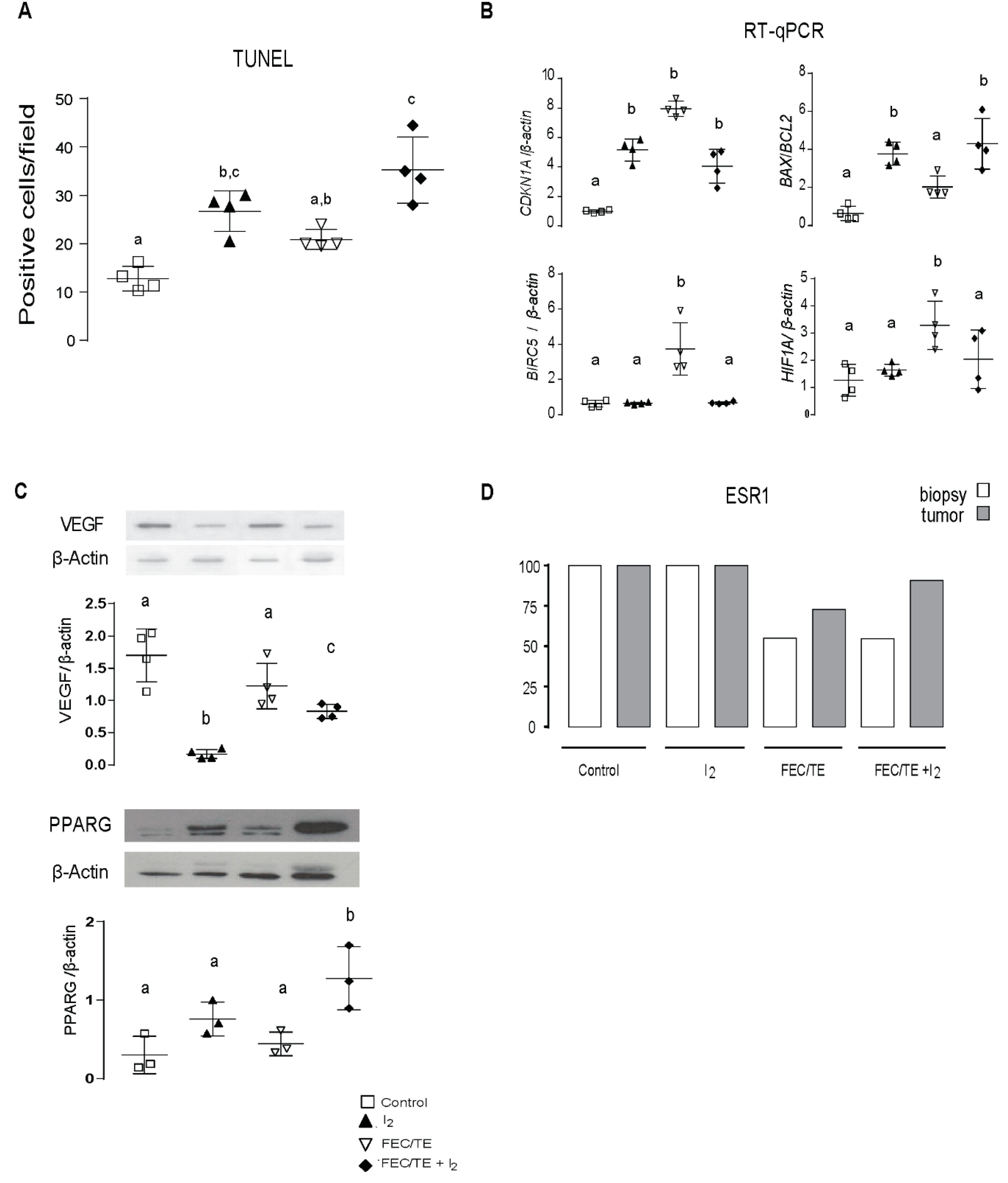 Nutrients 11 01623 g004