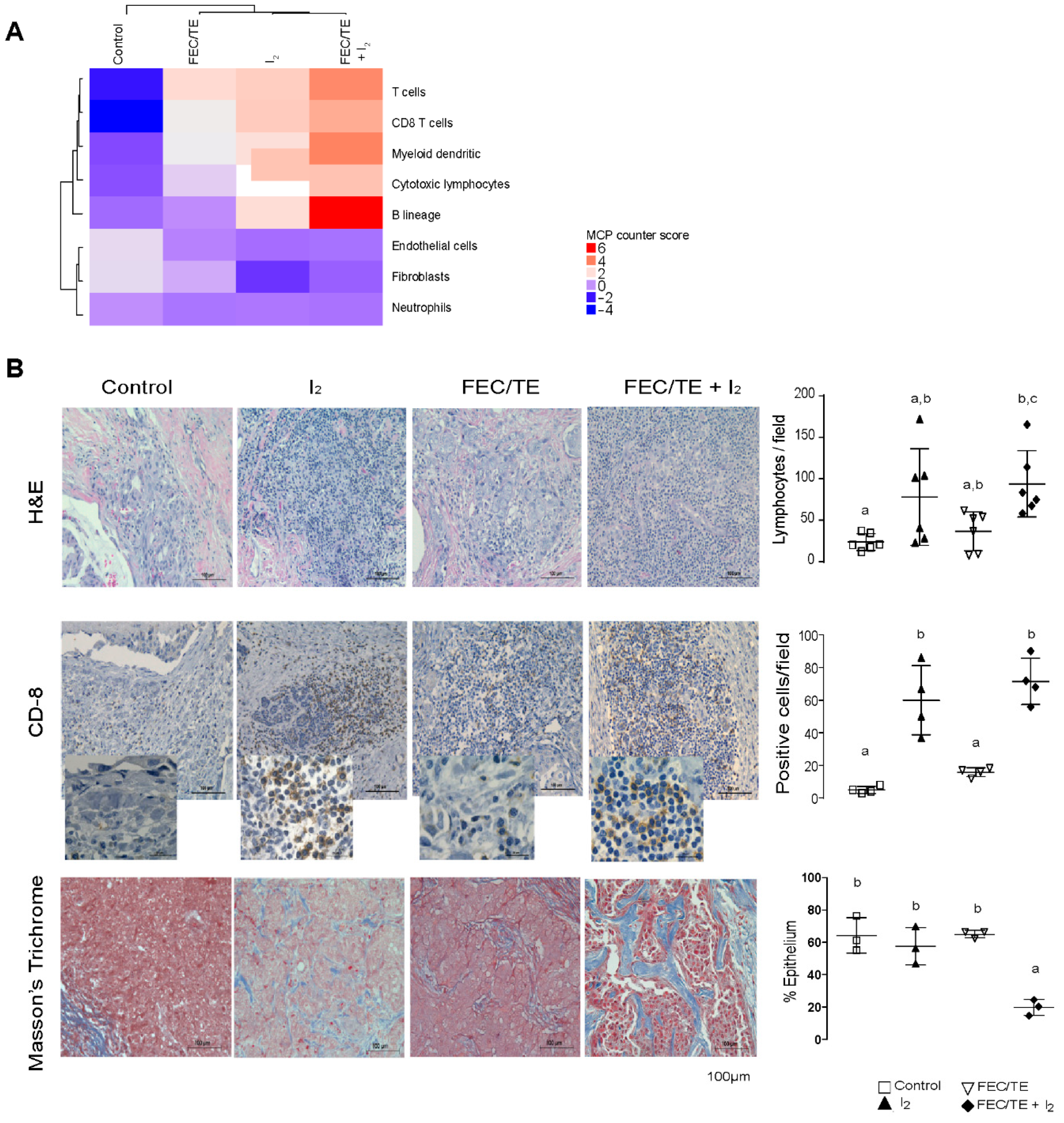 Nutrients 11 01623 g006