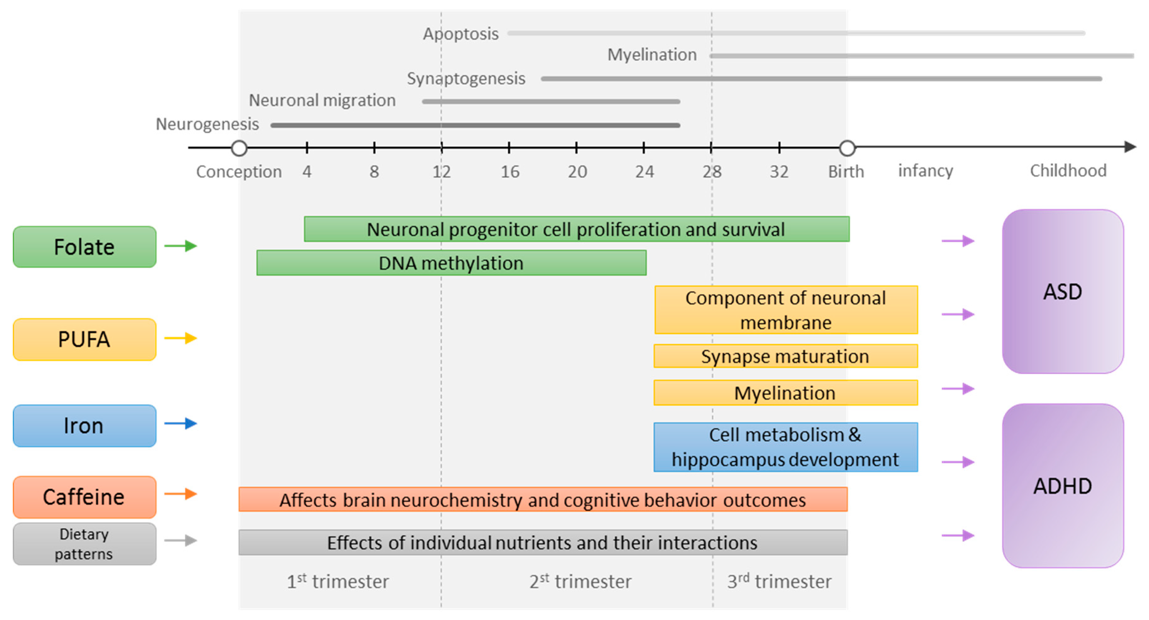 Nutrients 11 01628 g001