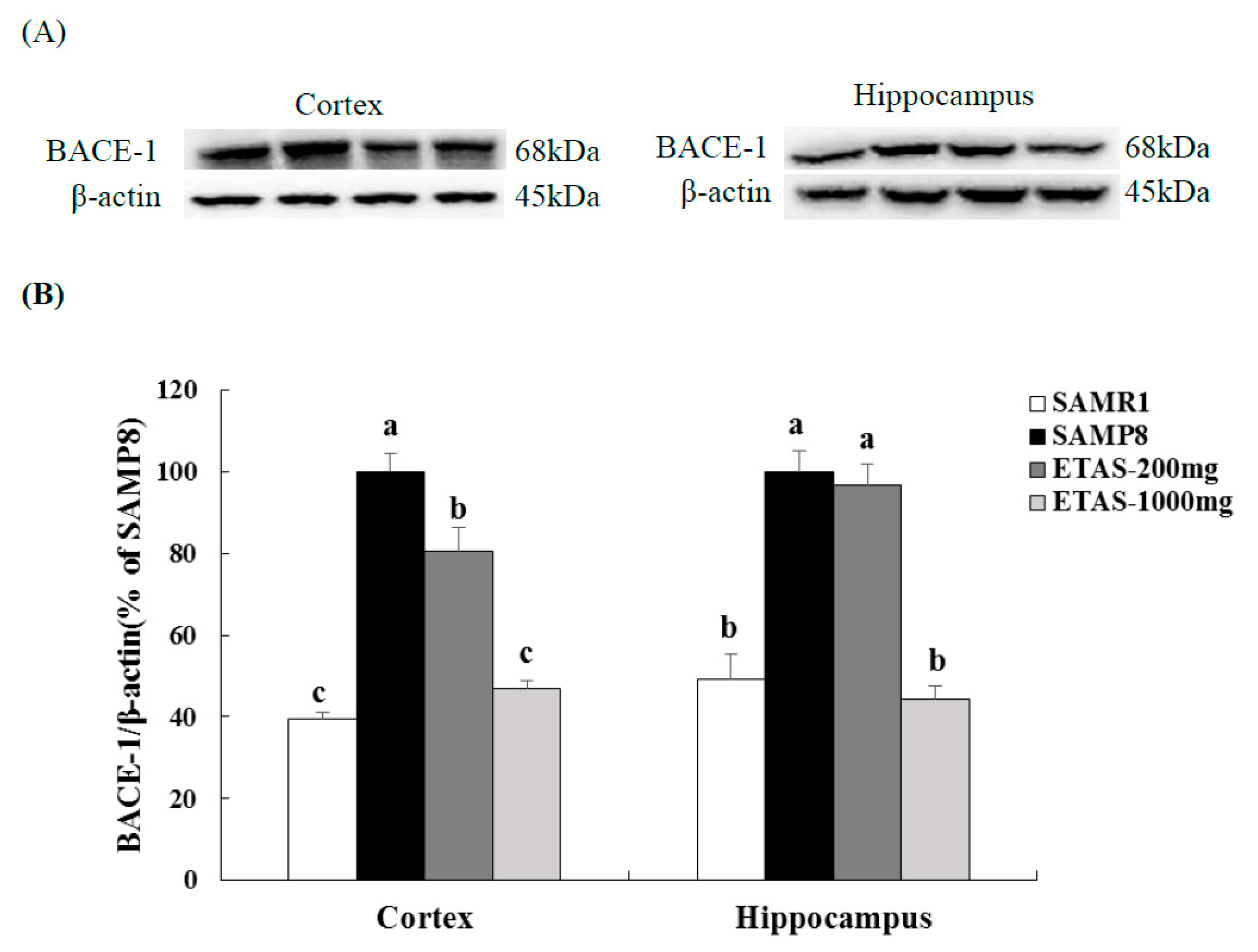 Nutrients 11 01631 g003 Nutrients 11 01631 g003