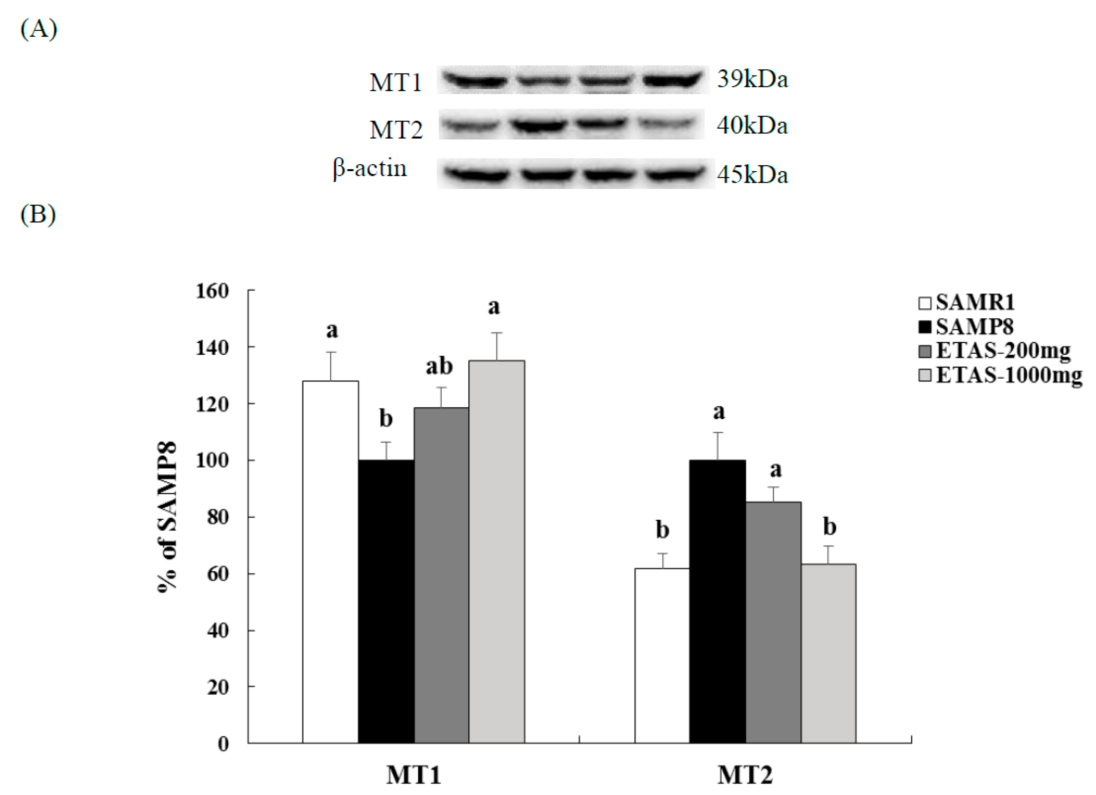 Nutrients 11 01631 g005 Nutrients 11 01631 g005