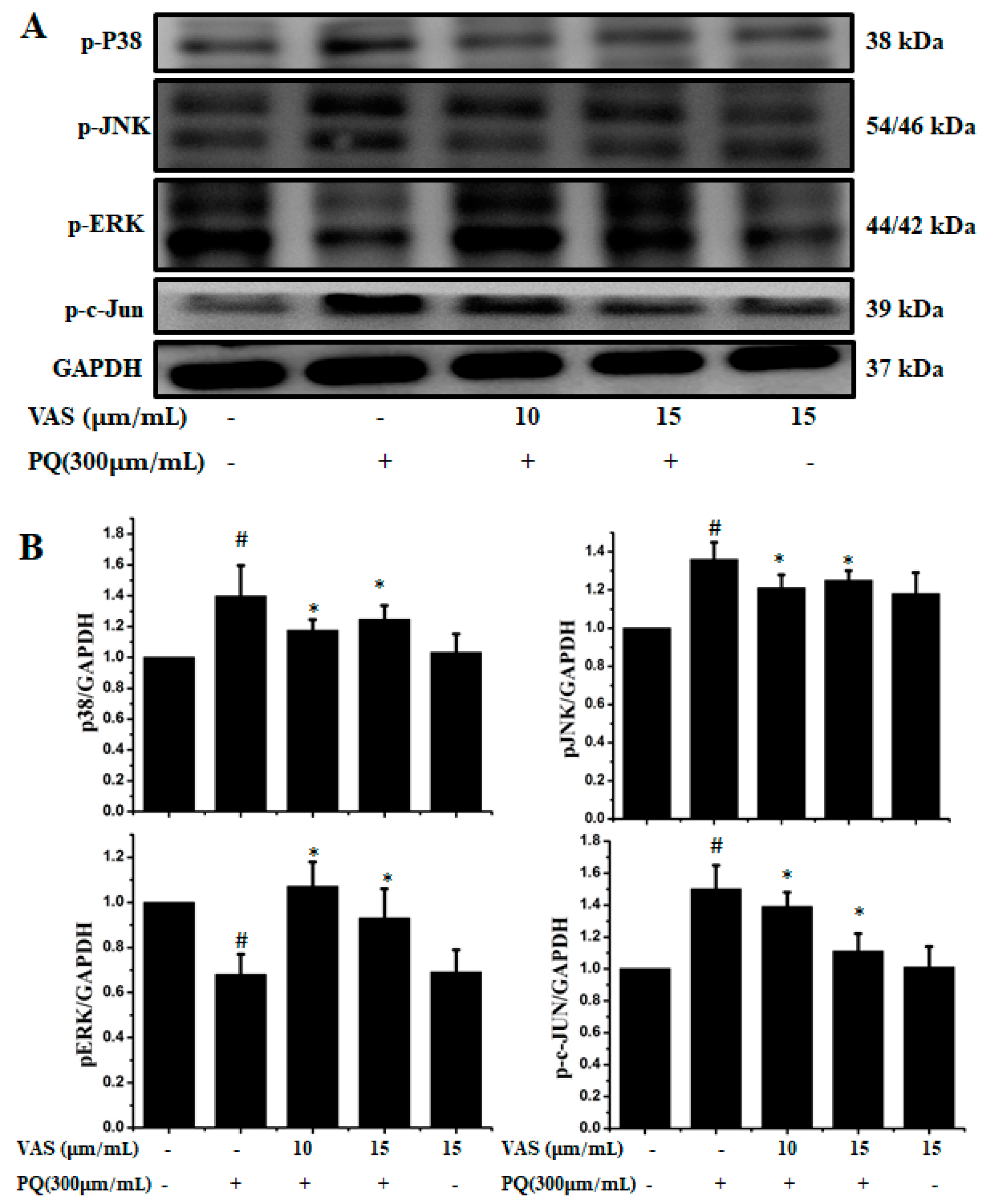 Nutrients 11 01655 g003
