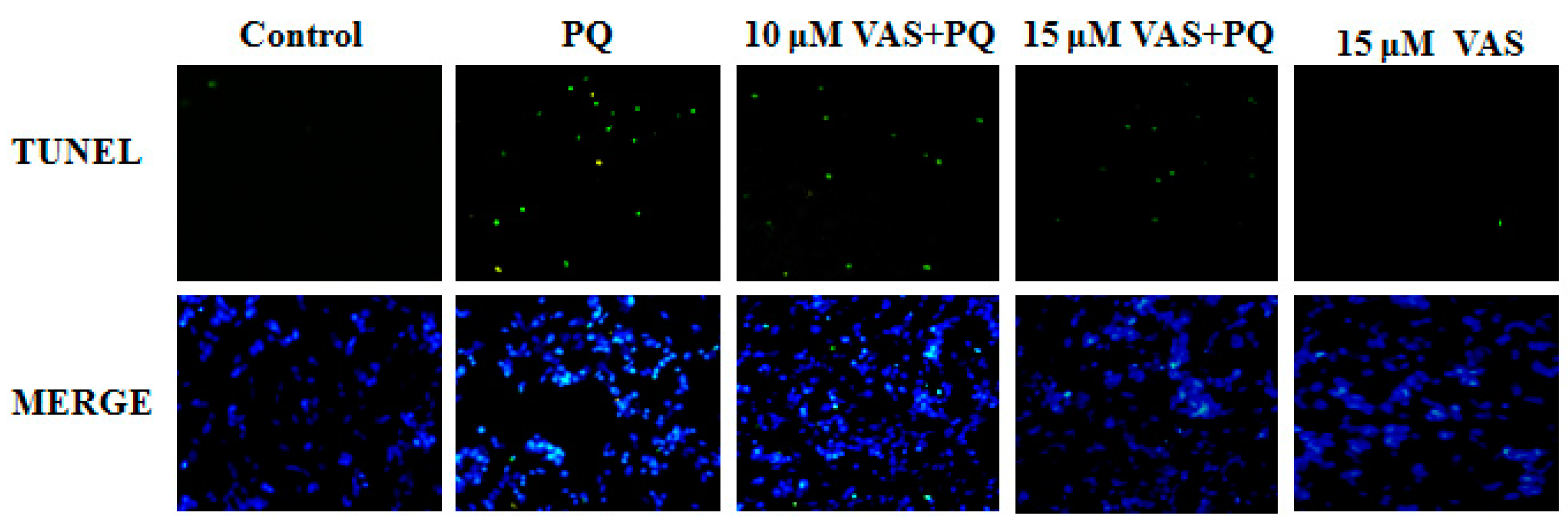 Nutrients 11 01655 g004