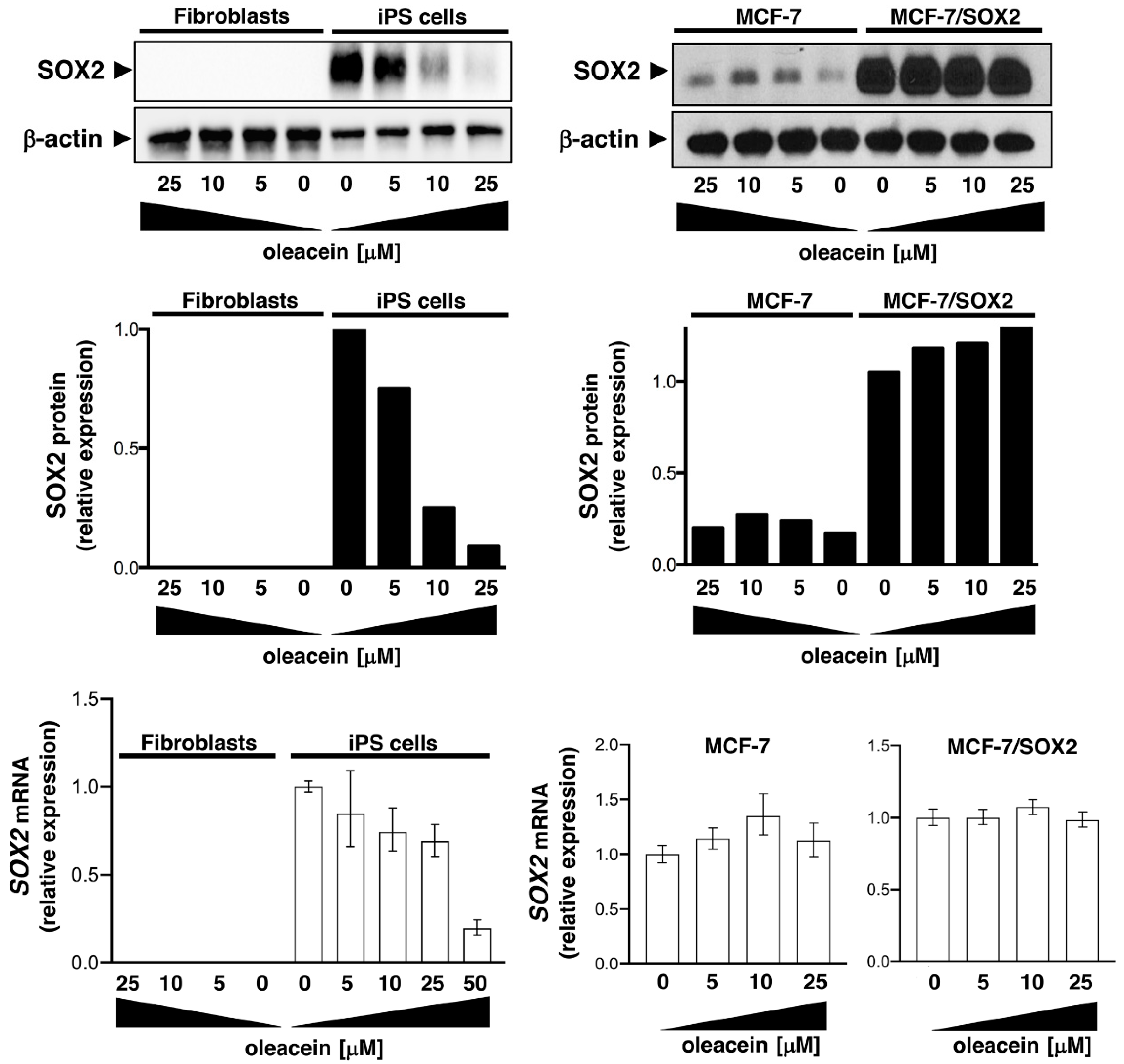 Nutrients 11 01656 g005
