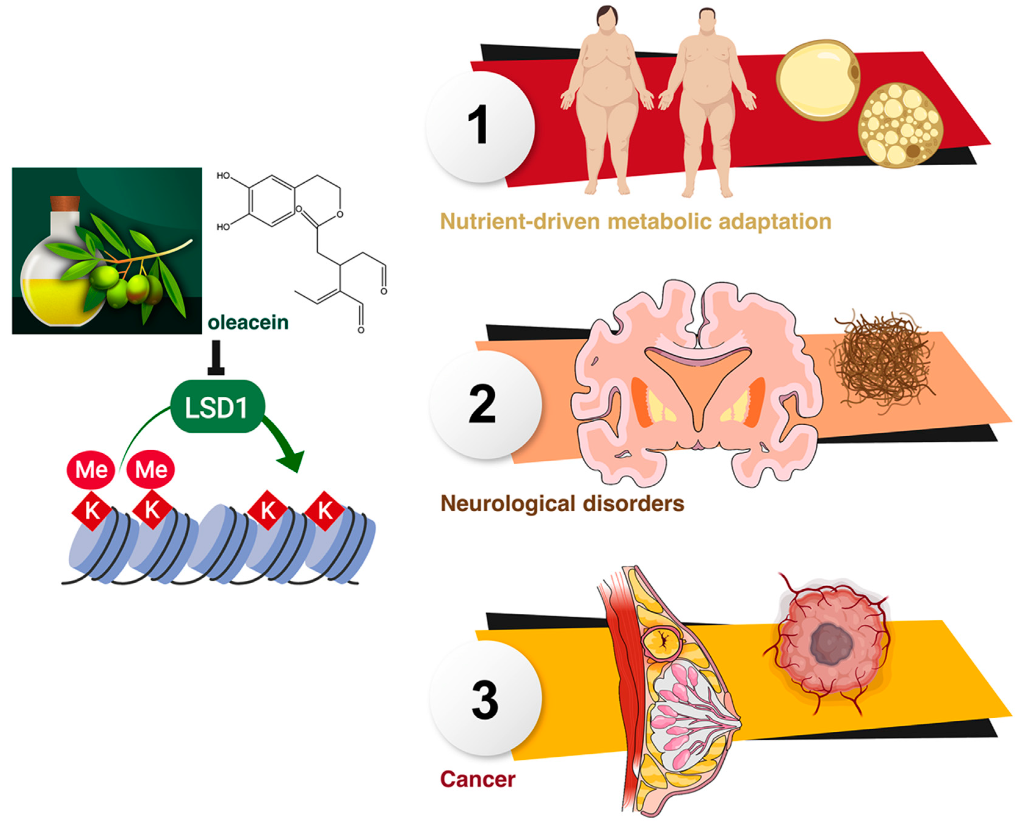 Nutrients 11 01656 g006