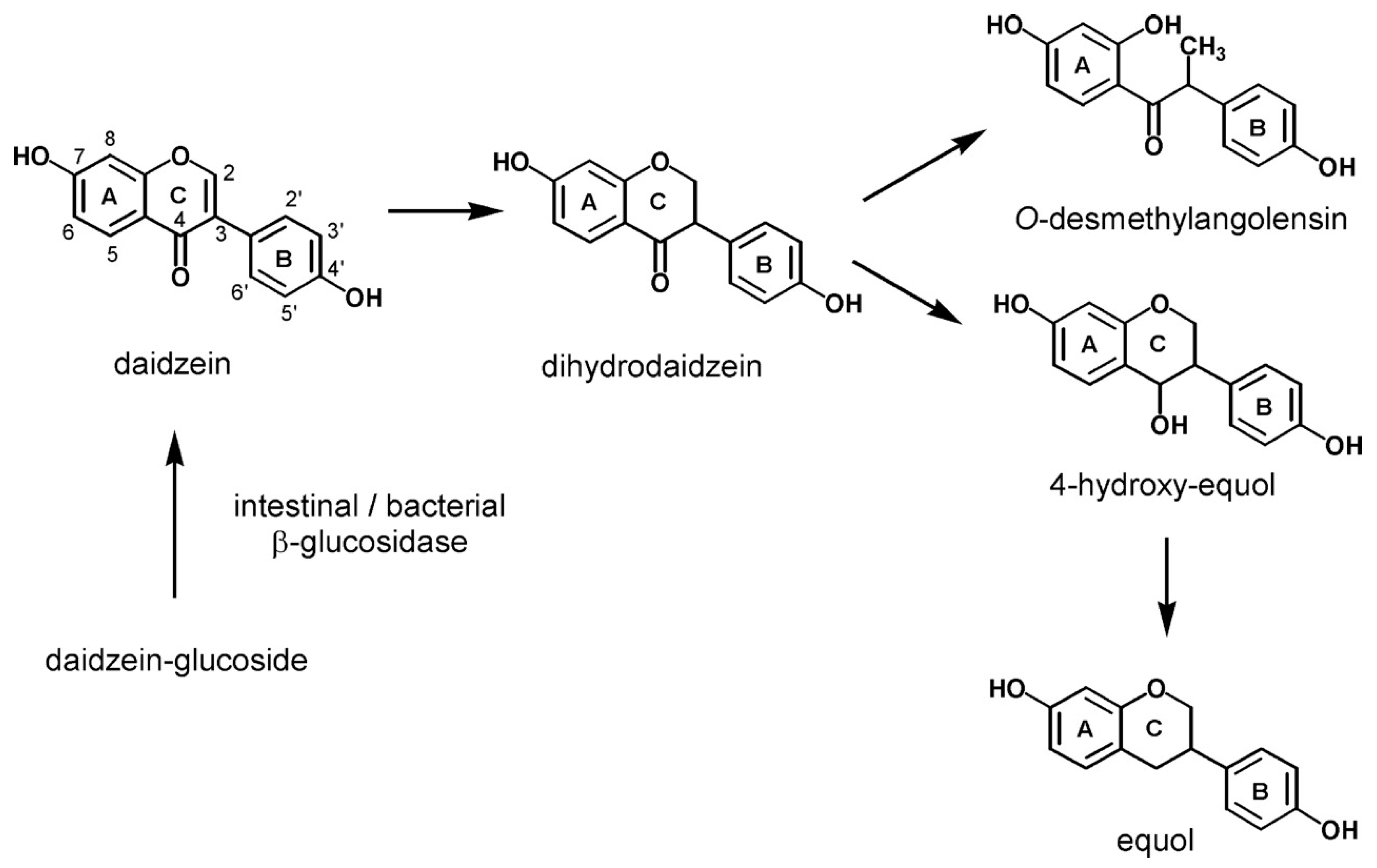 Nutrients 11 01660 g001