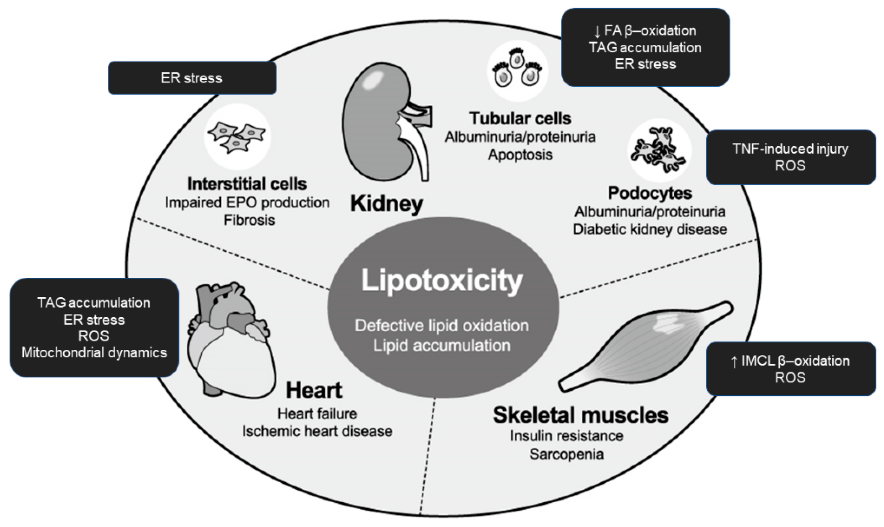 Nutrients 11 01664 g002