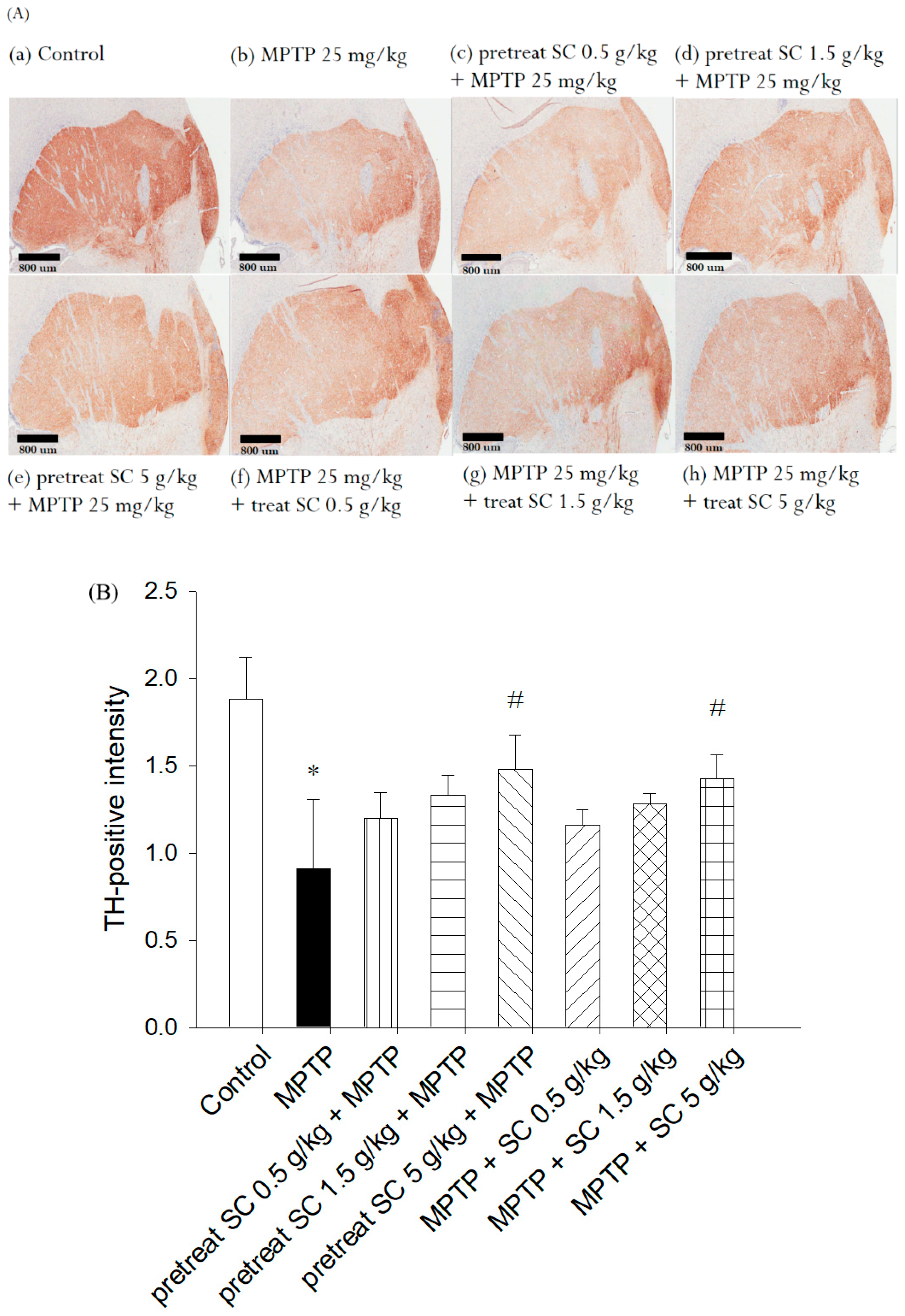 Nutrients 11 01671 g007