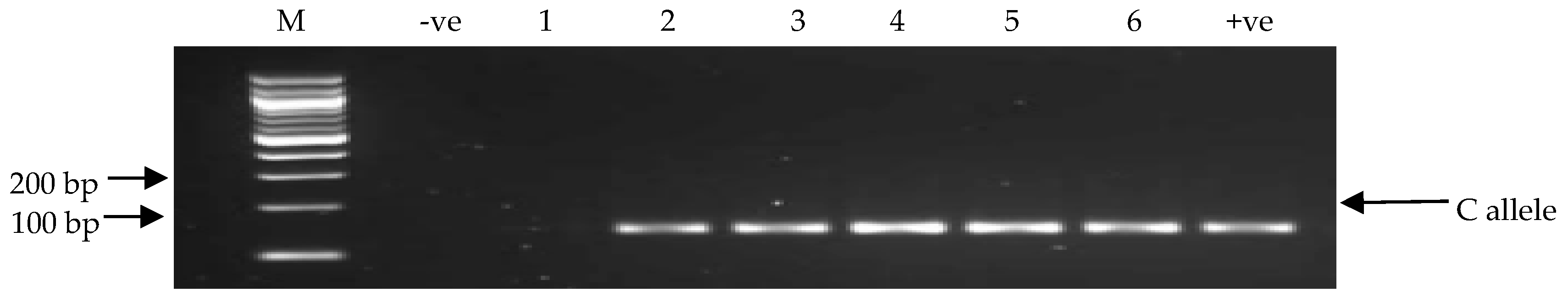 Nutrients 11 01686 g001