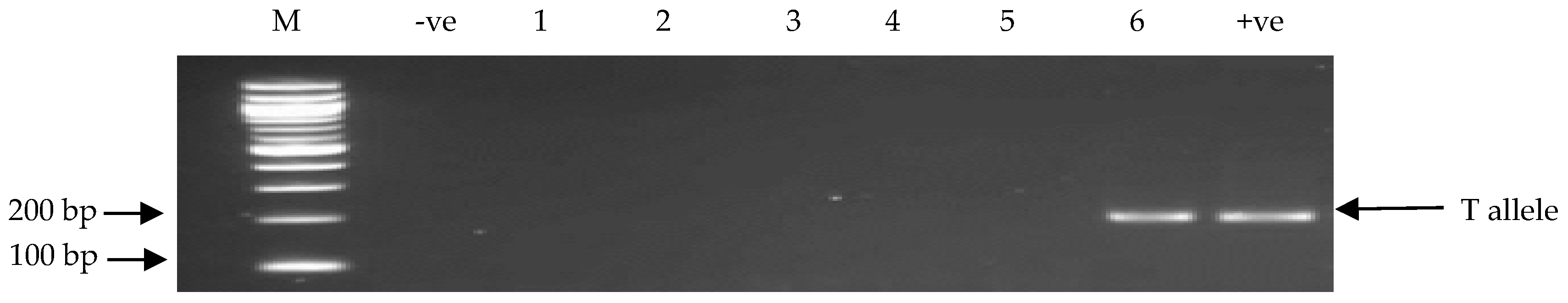 Nutrients 11 01686 g002