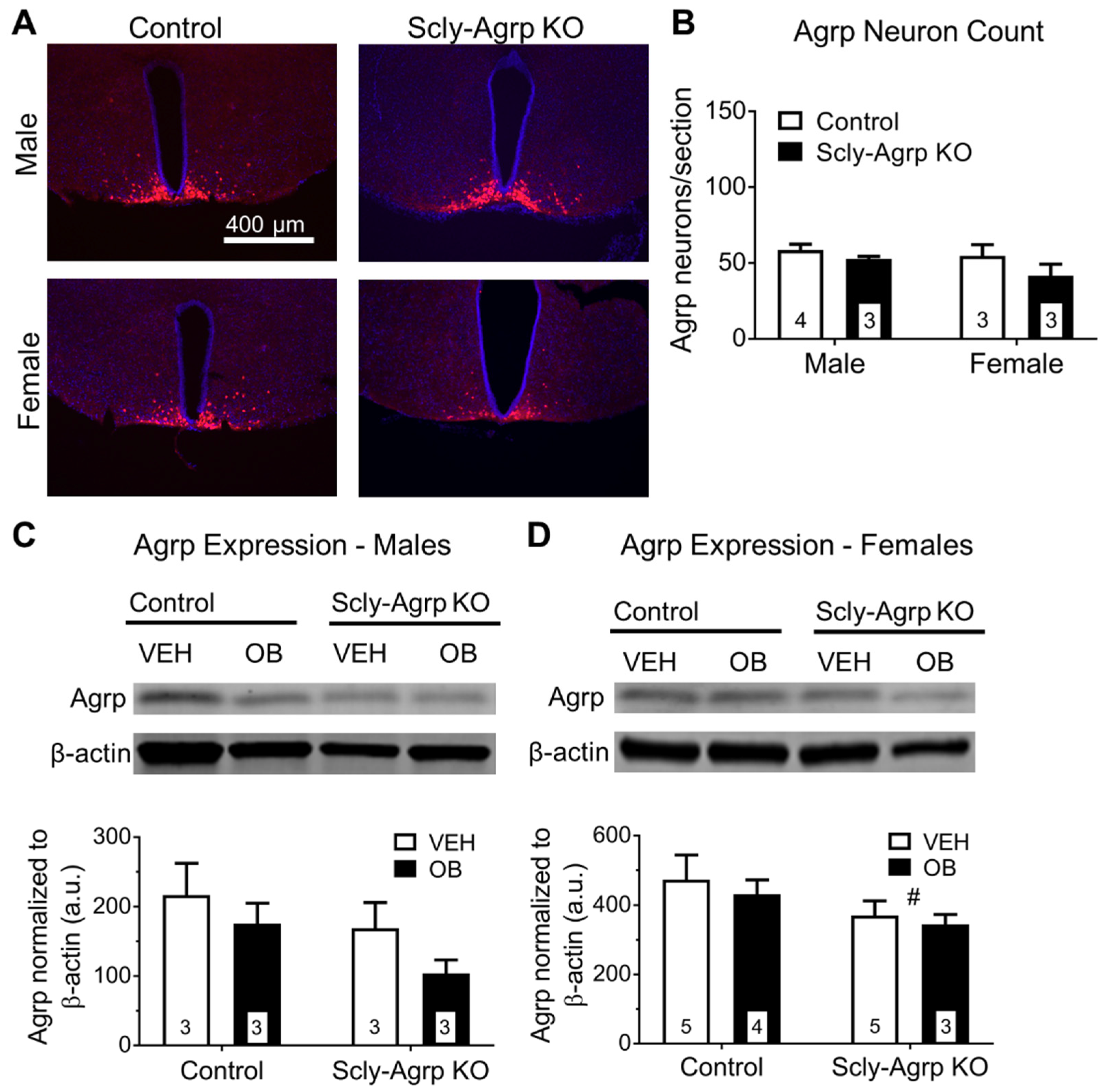 Nutrients 11 01693 g003 Nutrients 11 01693 g003