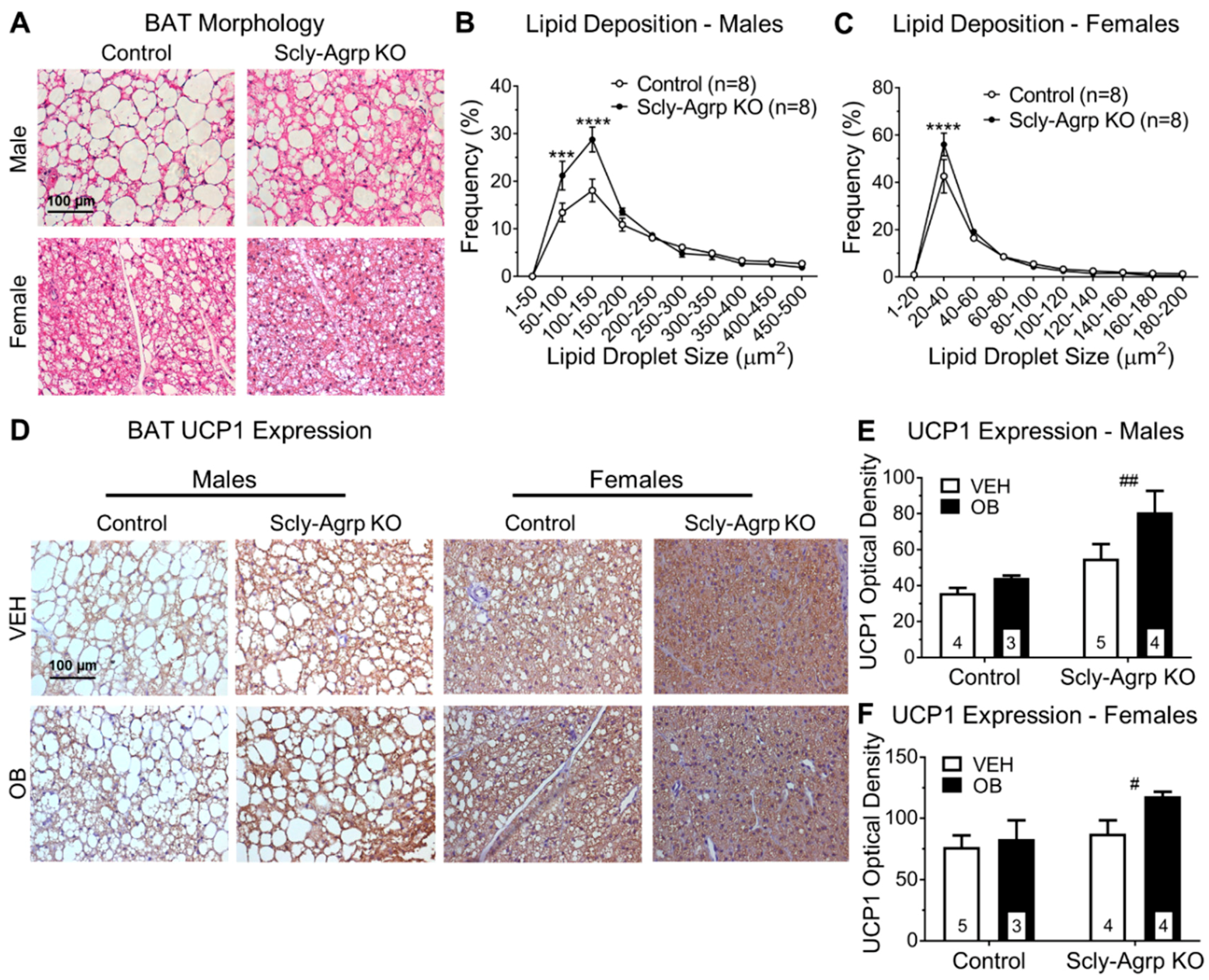 Nutrients 11 01693 g005 Nutrients 11 01693 g005