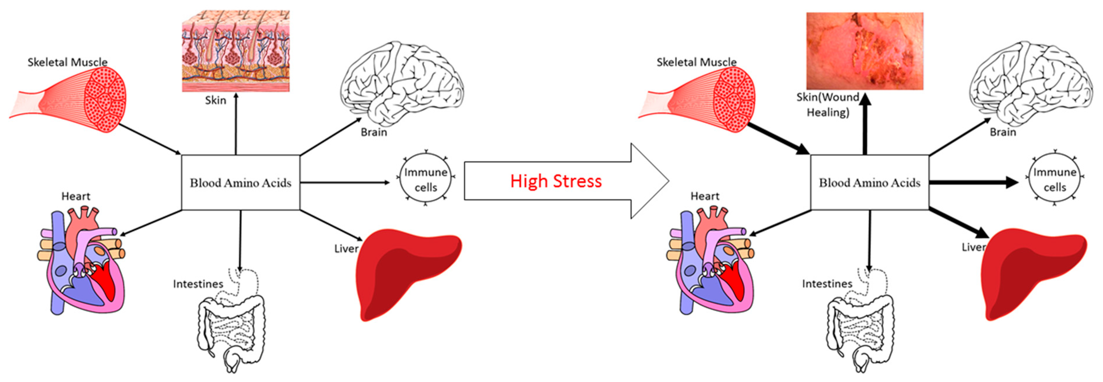Nutrients 11 01703 g001