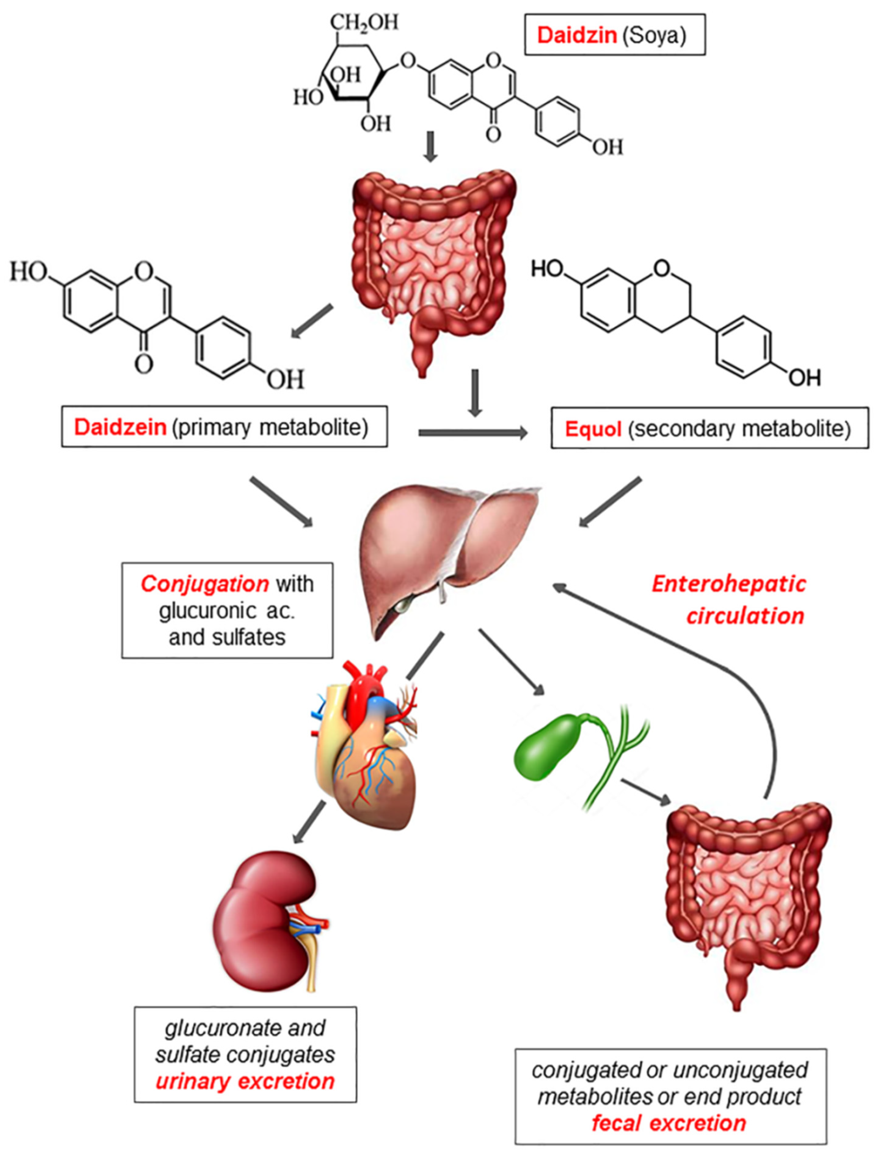 Nutrients 11 01709 g001