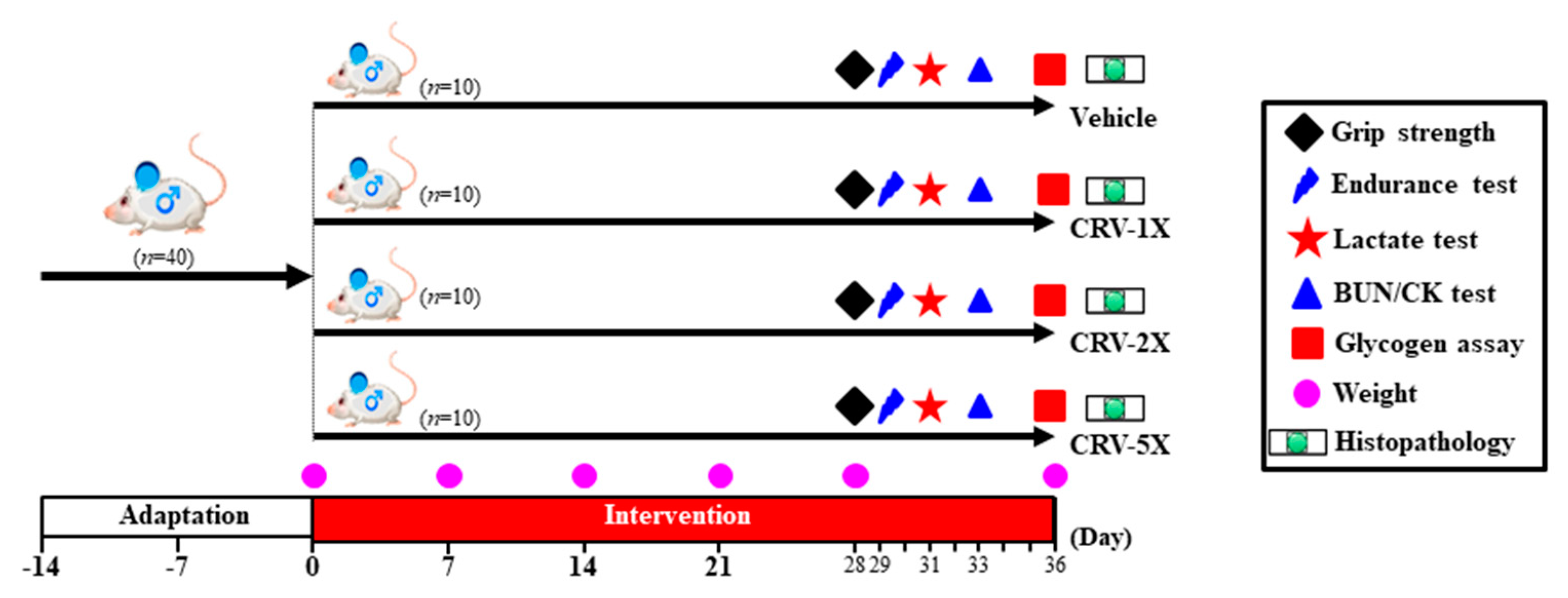 Nutrients 11 01715 g001
