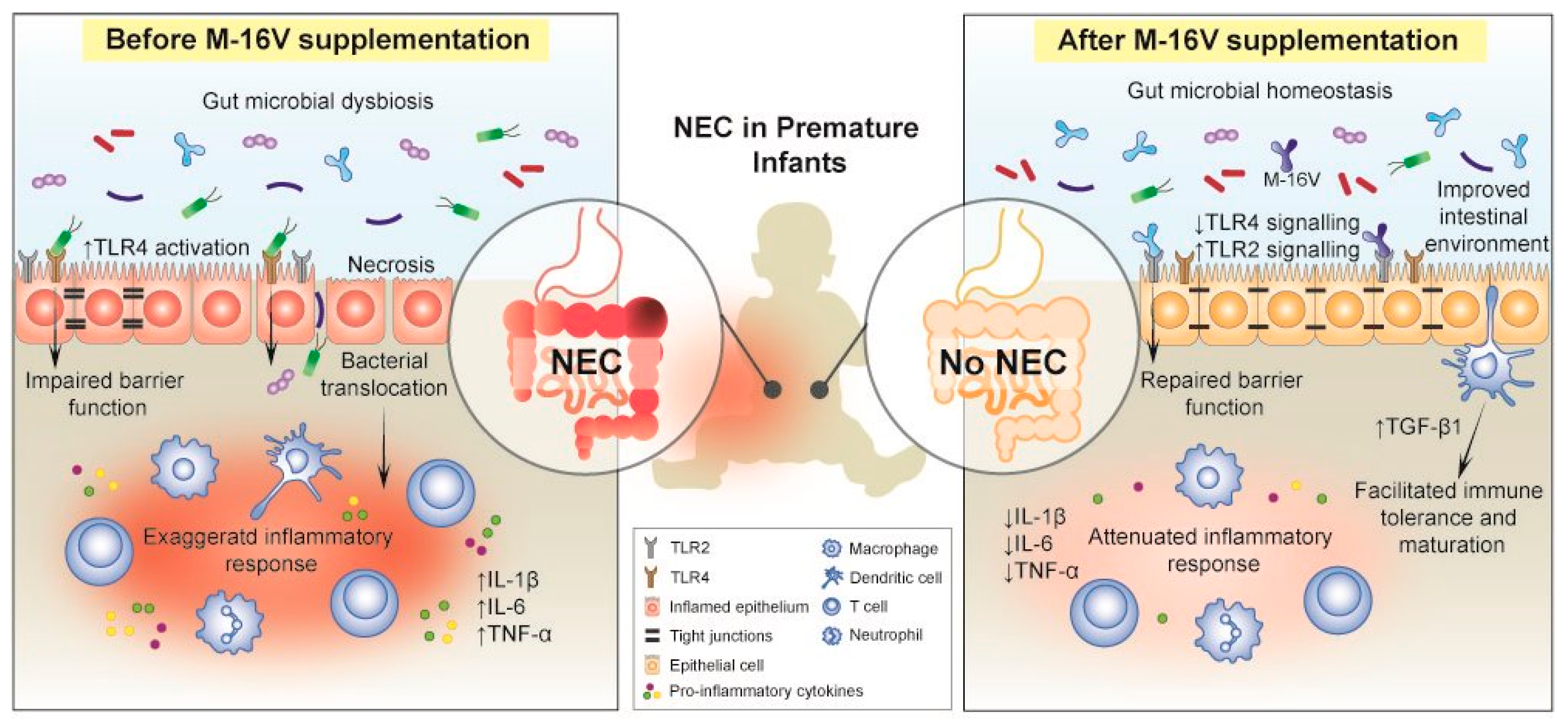 Nutrients 11 01724 g001