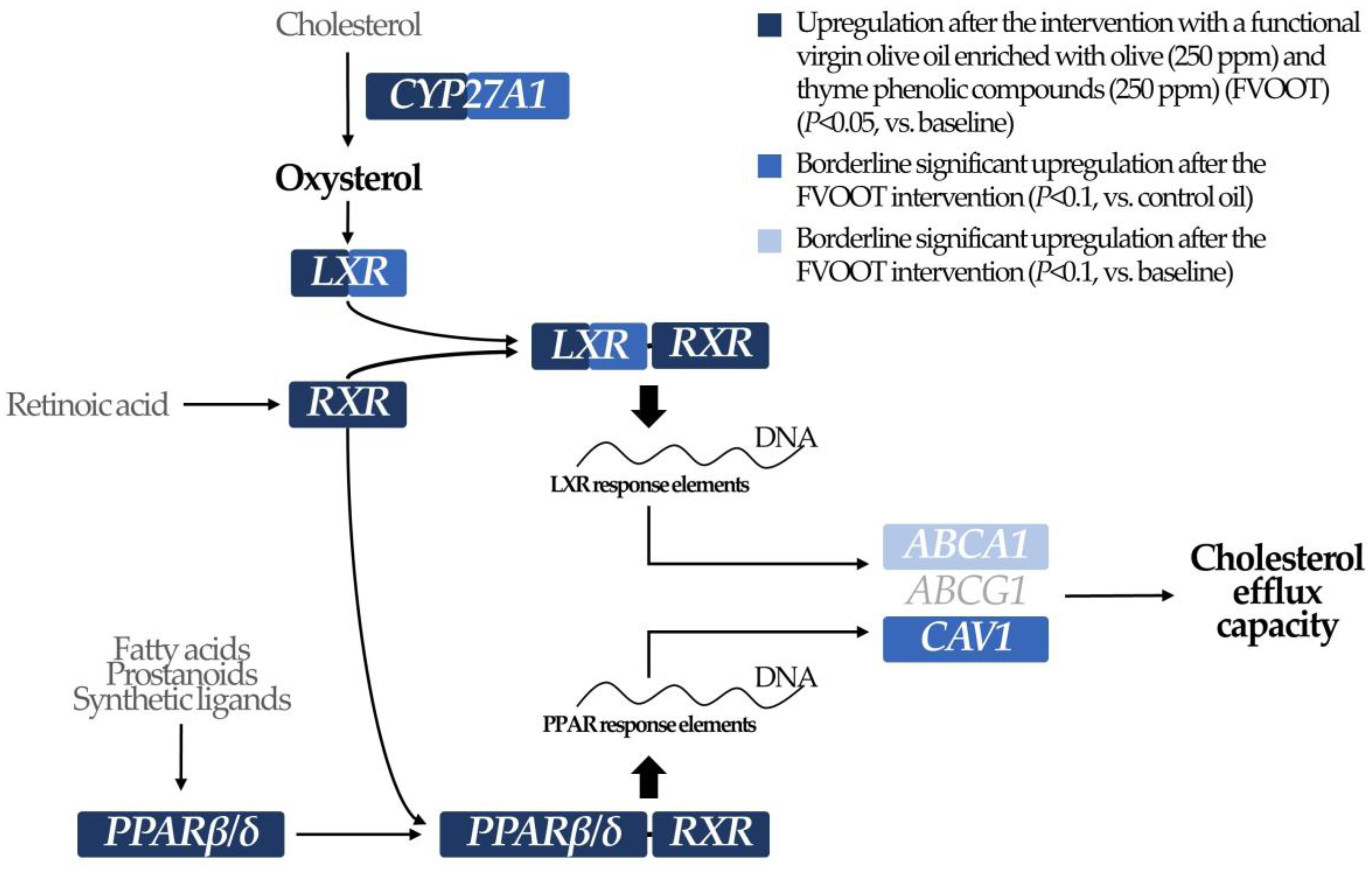 Nutrients 11 01732 sch001