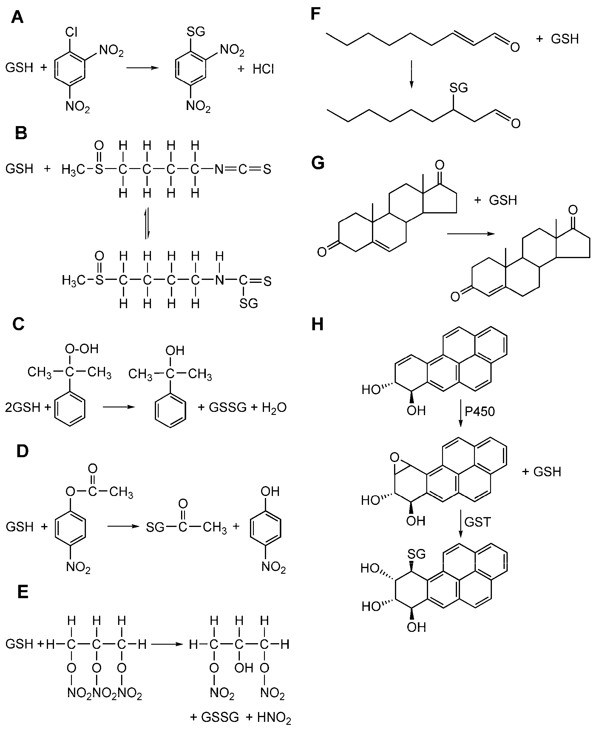 Nutrients 11 01741 g003