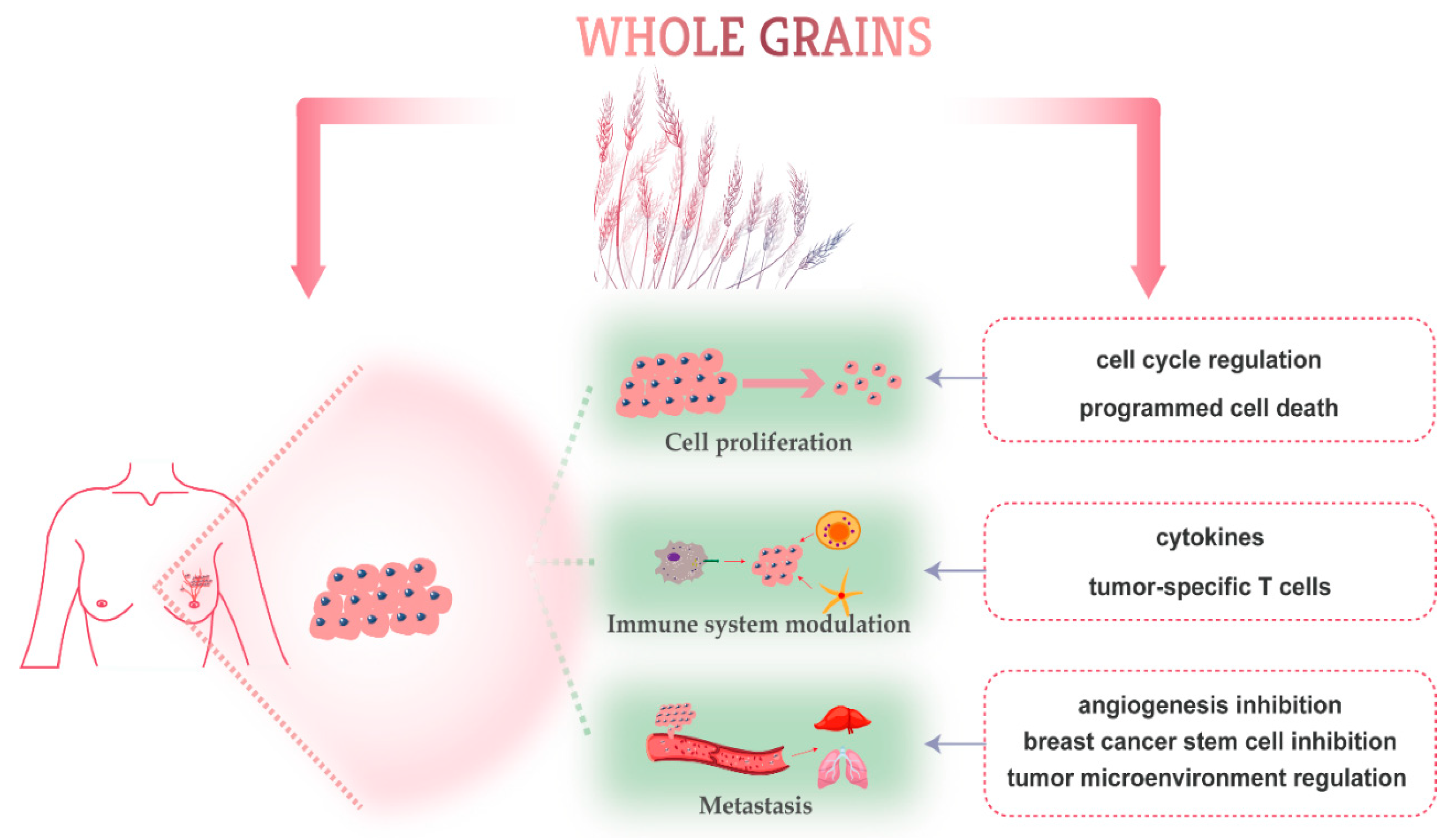 Nutrients 11 01769 g002