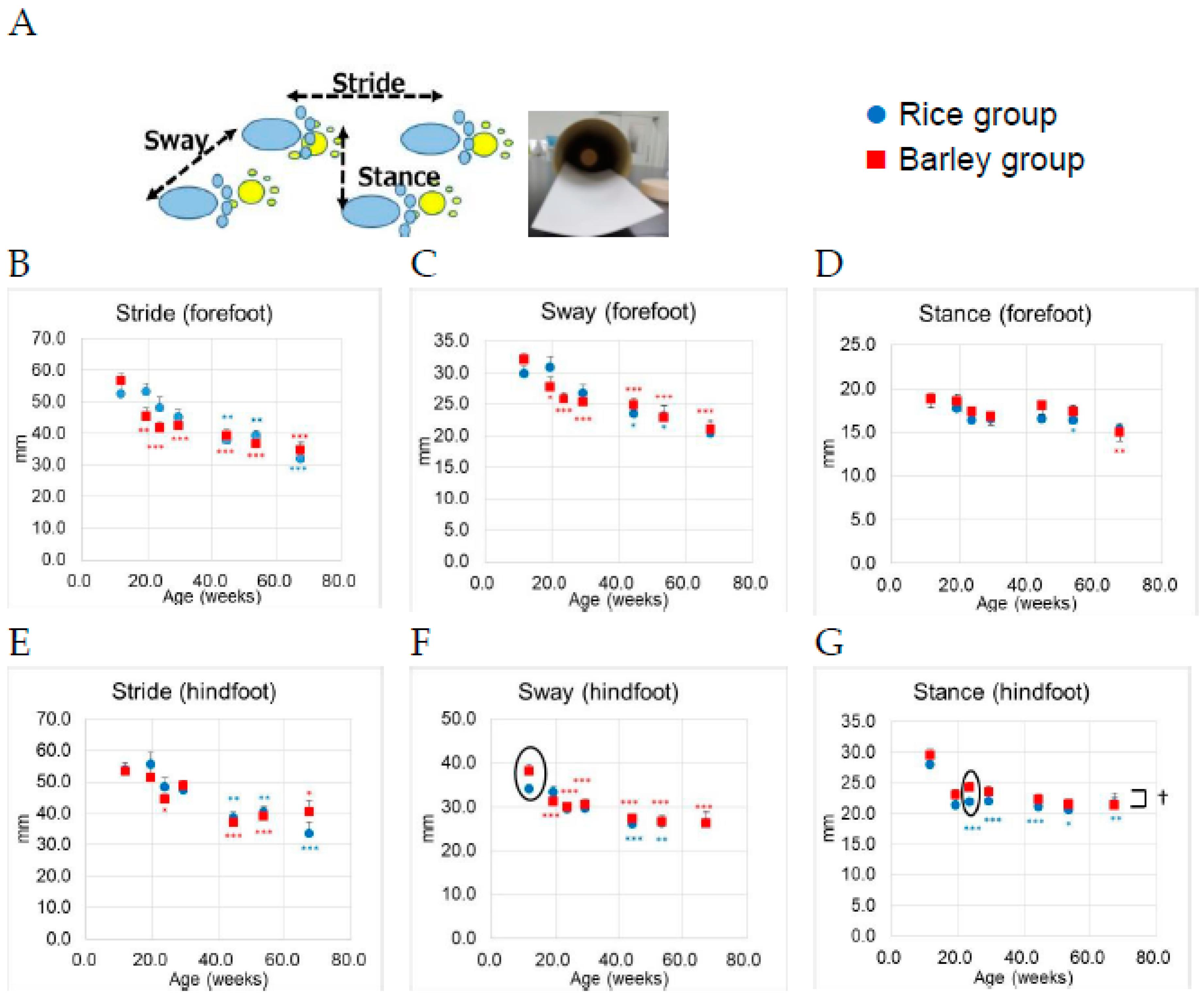 Nutrients 11 01770 g007