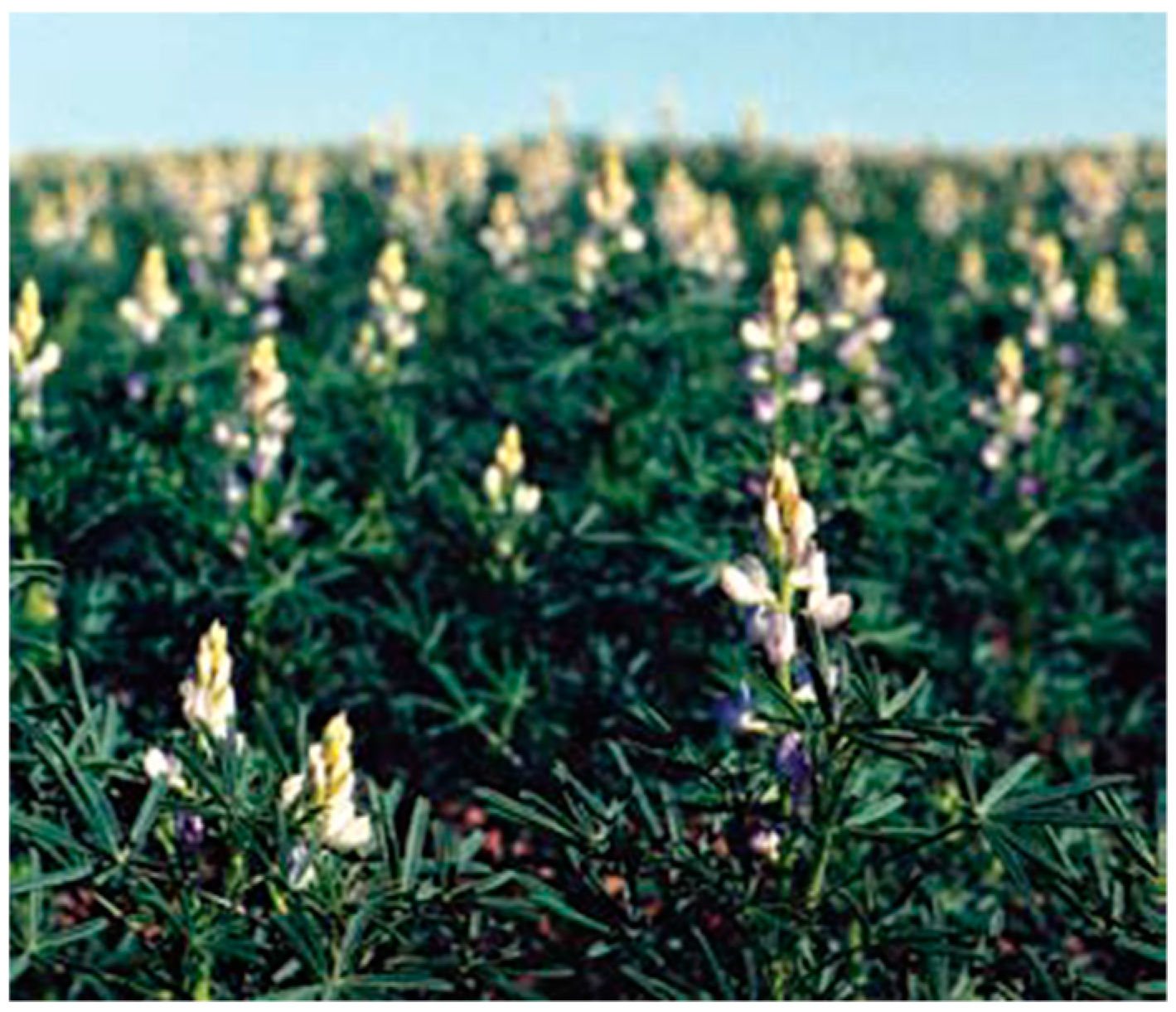 Nutrients 11 01785 g002 Nutrients 11 01785 g002