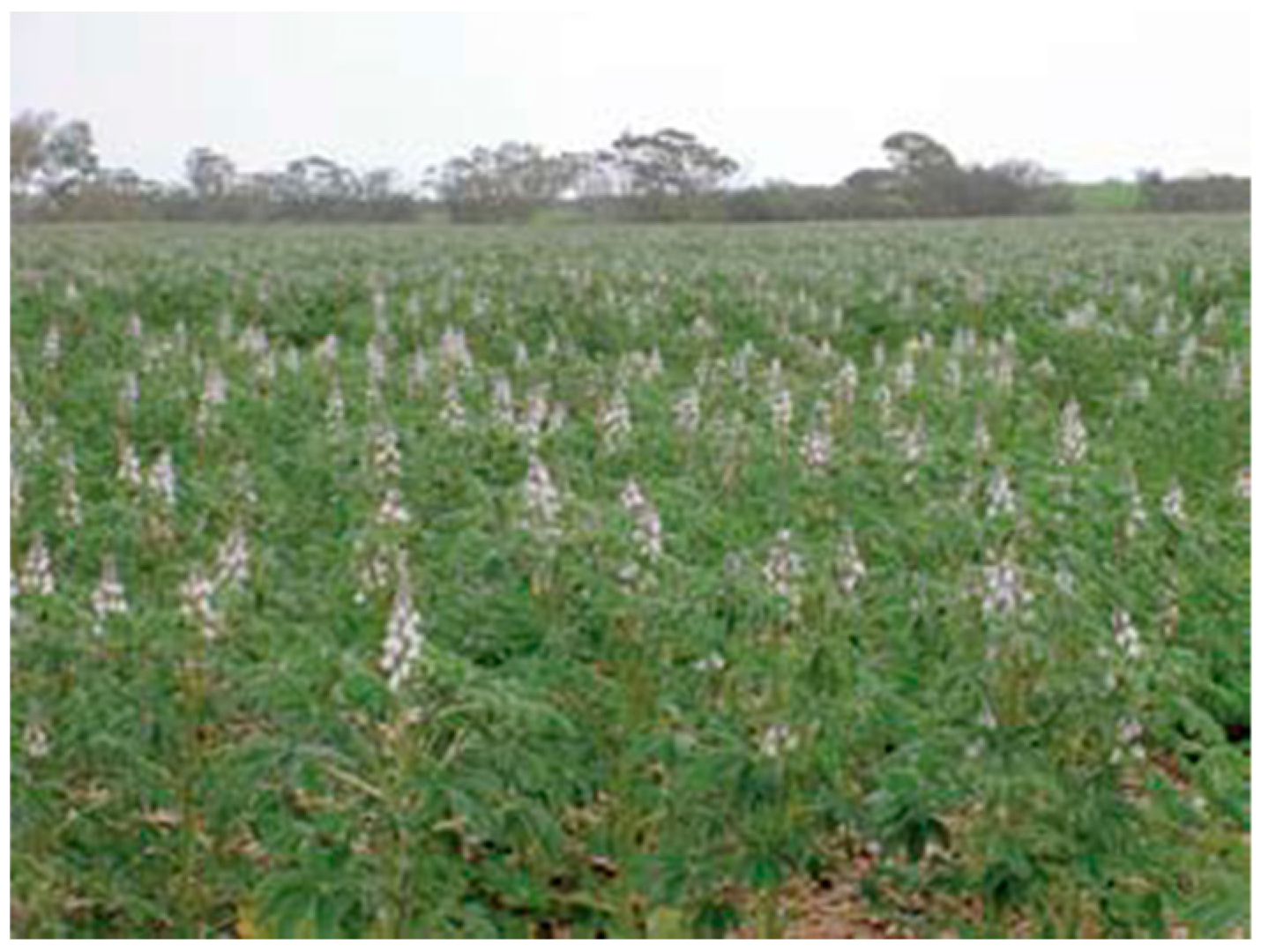 Nutrients 11 01785 g003 Nutrients 11 01785 g003