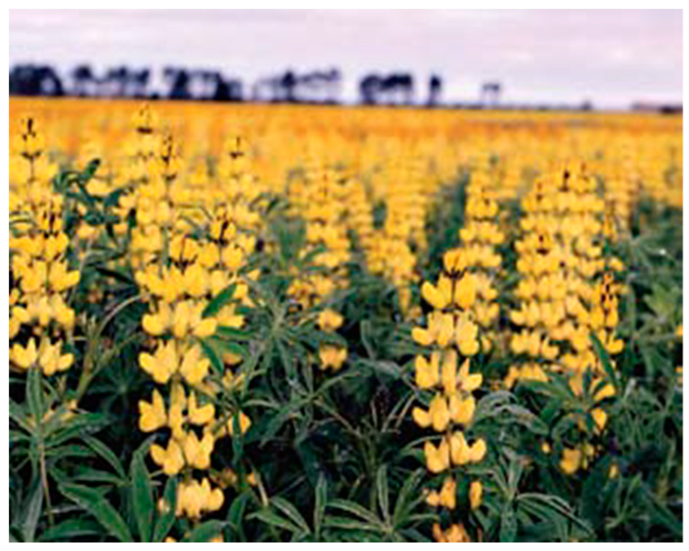 Nutrients 11 01785 g004 Nutrients 11 01785 g004