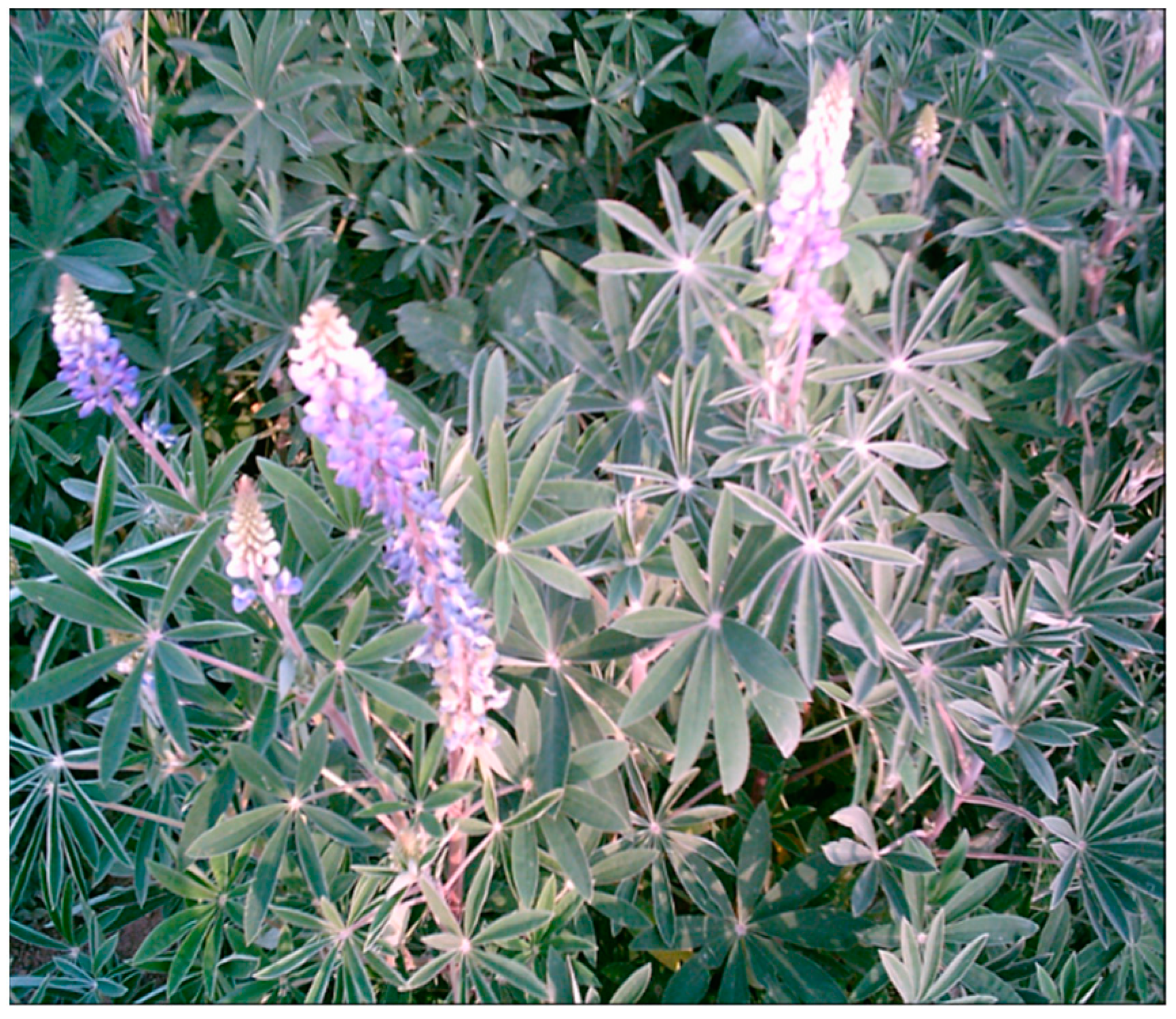 Nutrients 11 01785 g007 Nutrients 11 01785 g007