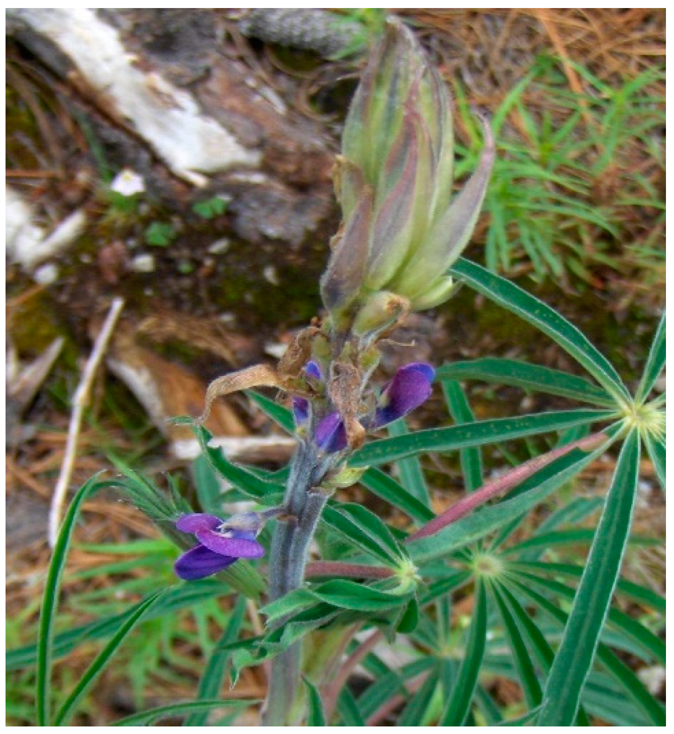 Nutrients 11 01785 g010 Nutrients 11 01785 g010