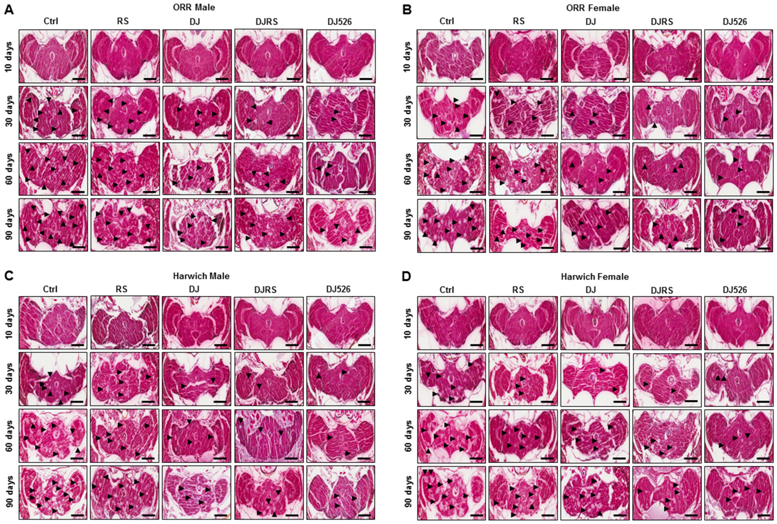 Nutrients 11 01804 g005
