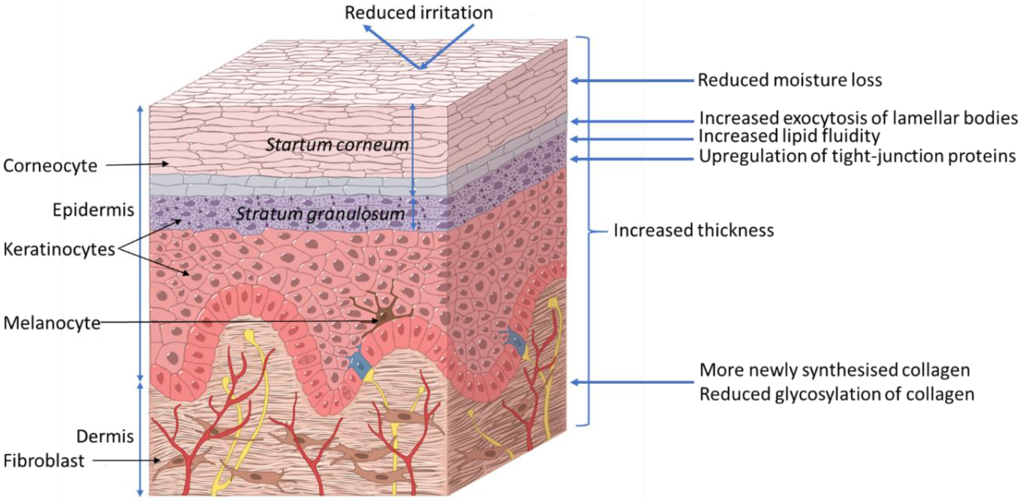 Nutrients 11 01813 g002