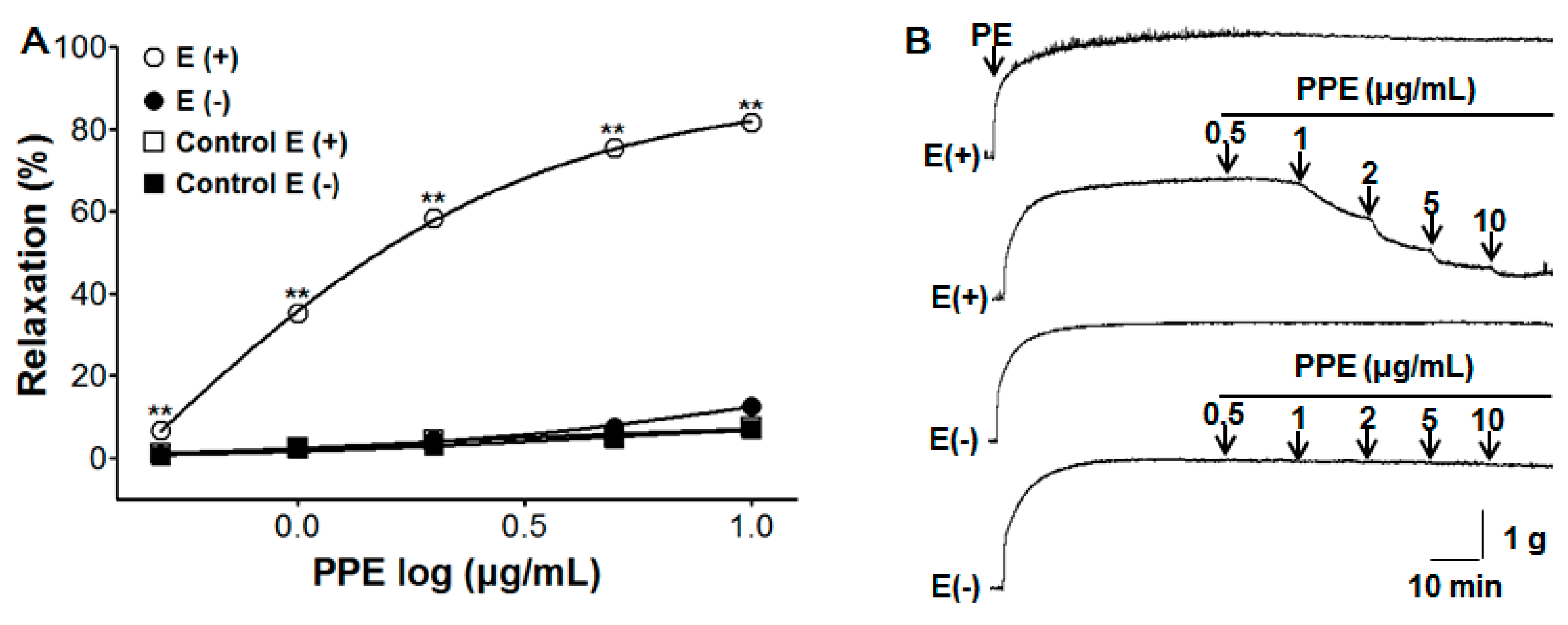 Nutrients 11 01816 g001