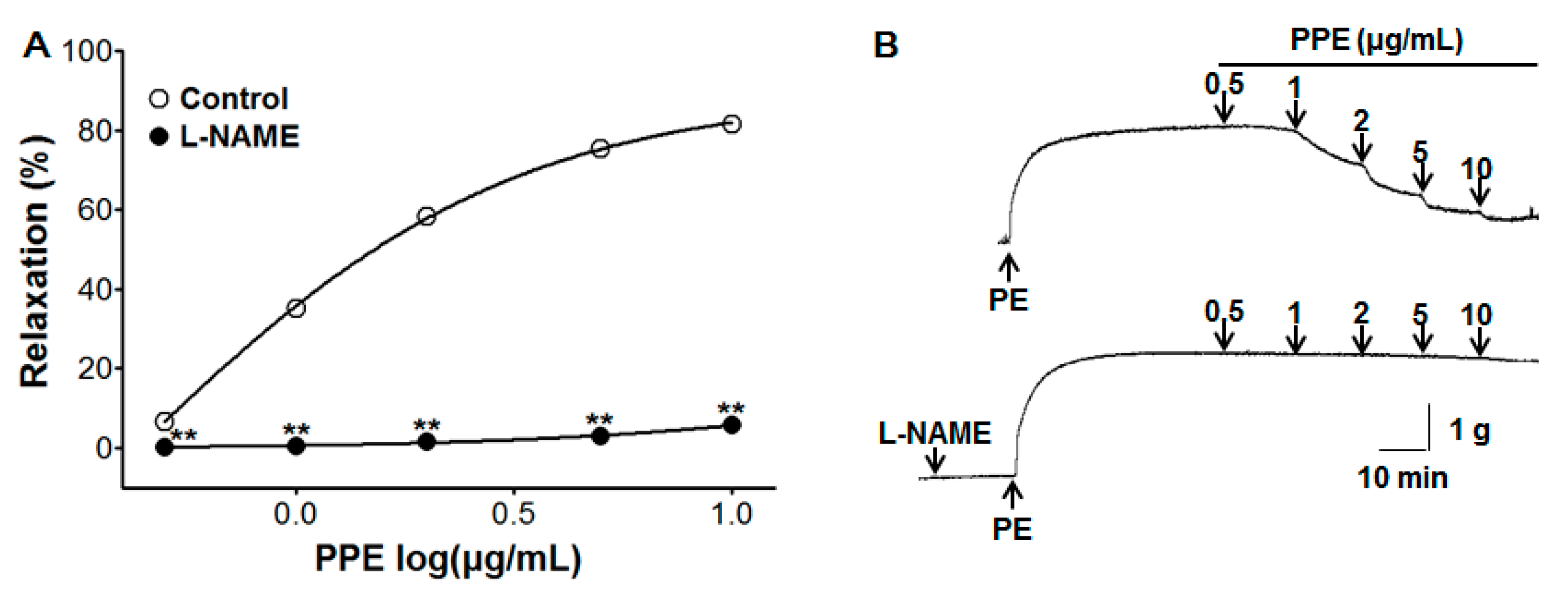 Nutrients 11 01816 g002