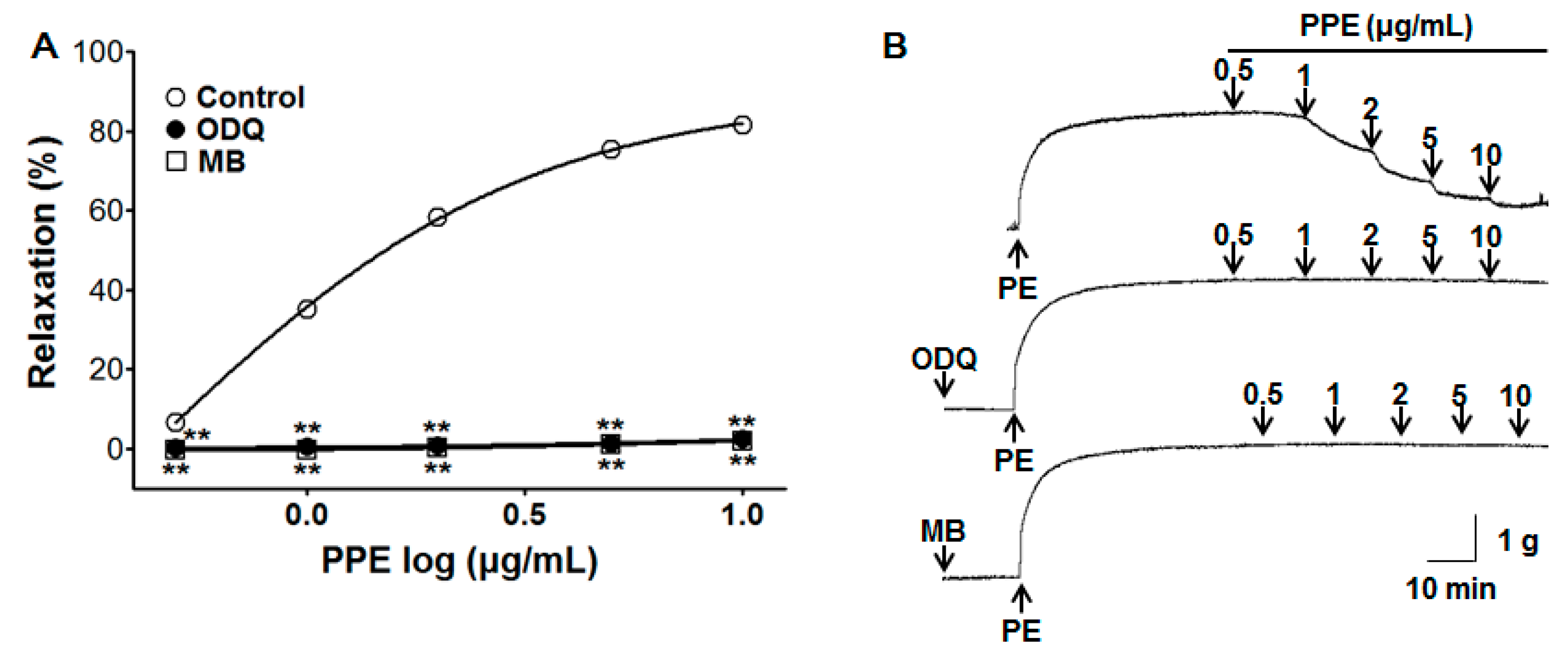 Nutrients 11 01816 g003