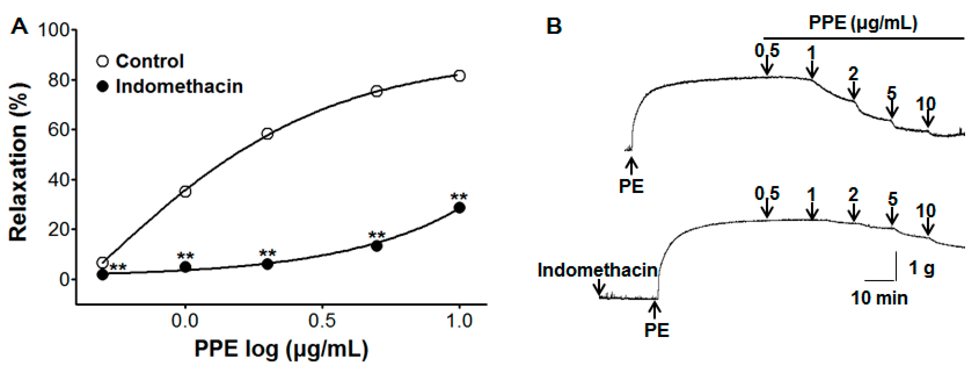 Nutrients 11 01816 g004