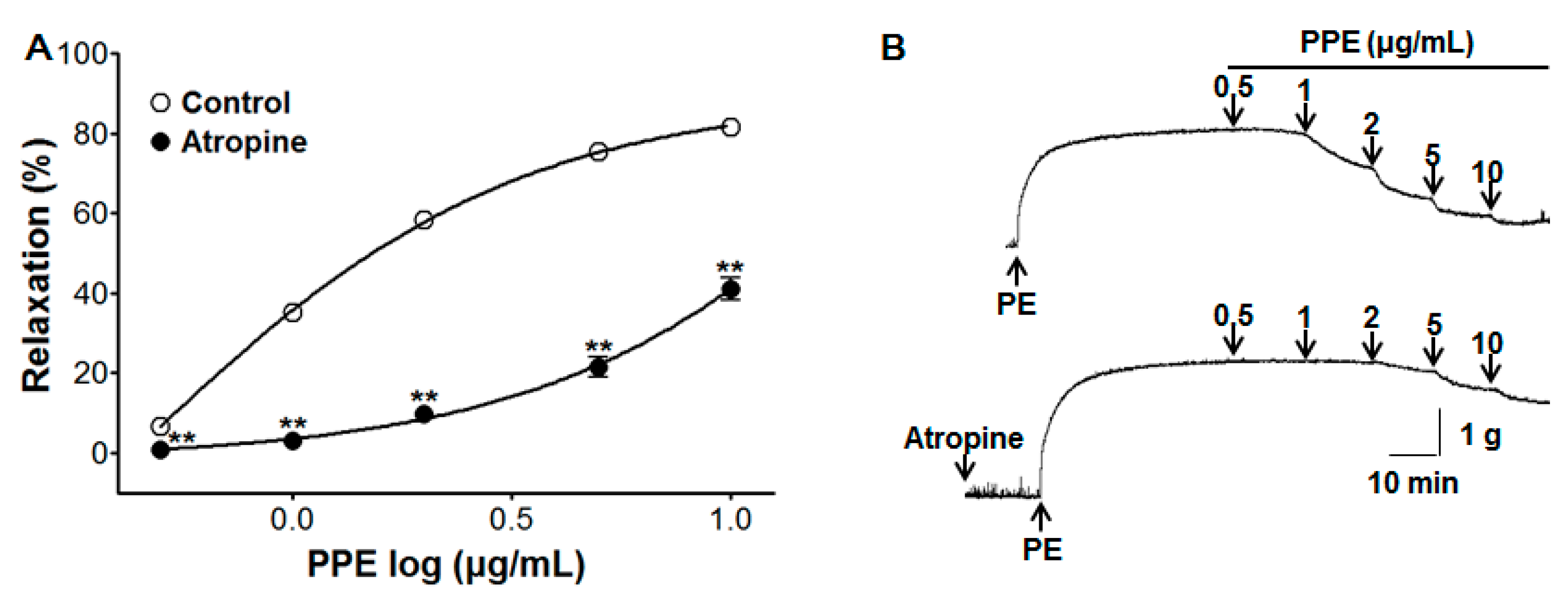 Nutrients 11 01816 g005