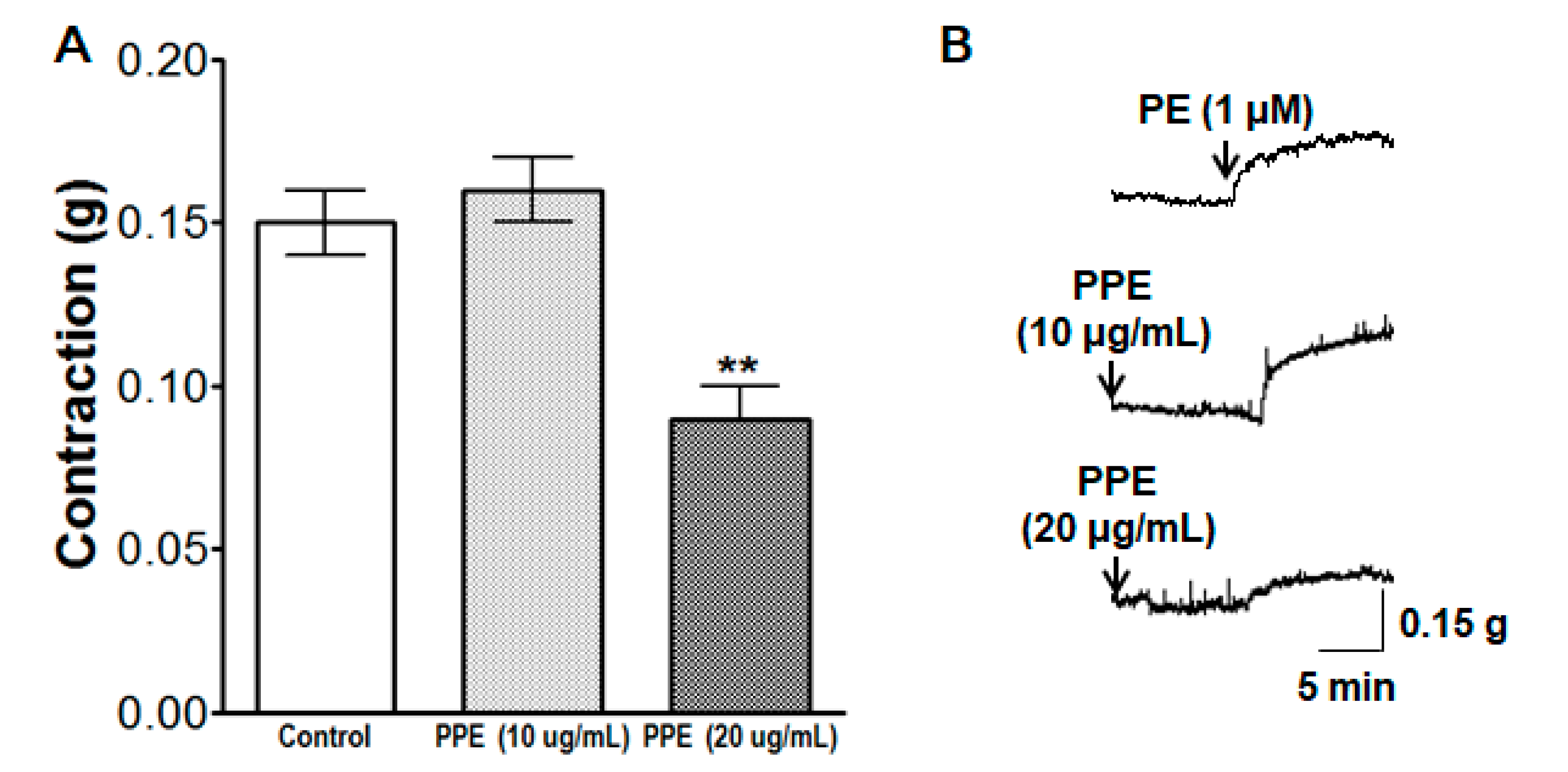 Nutrients 11 01816 g010