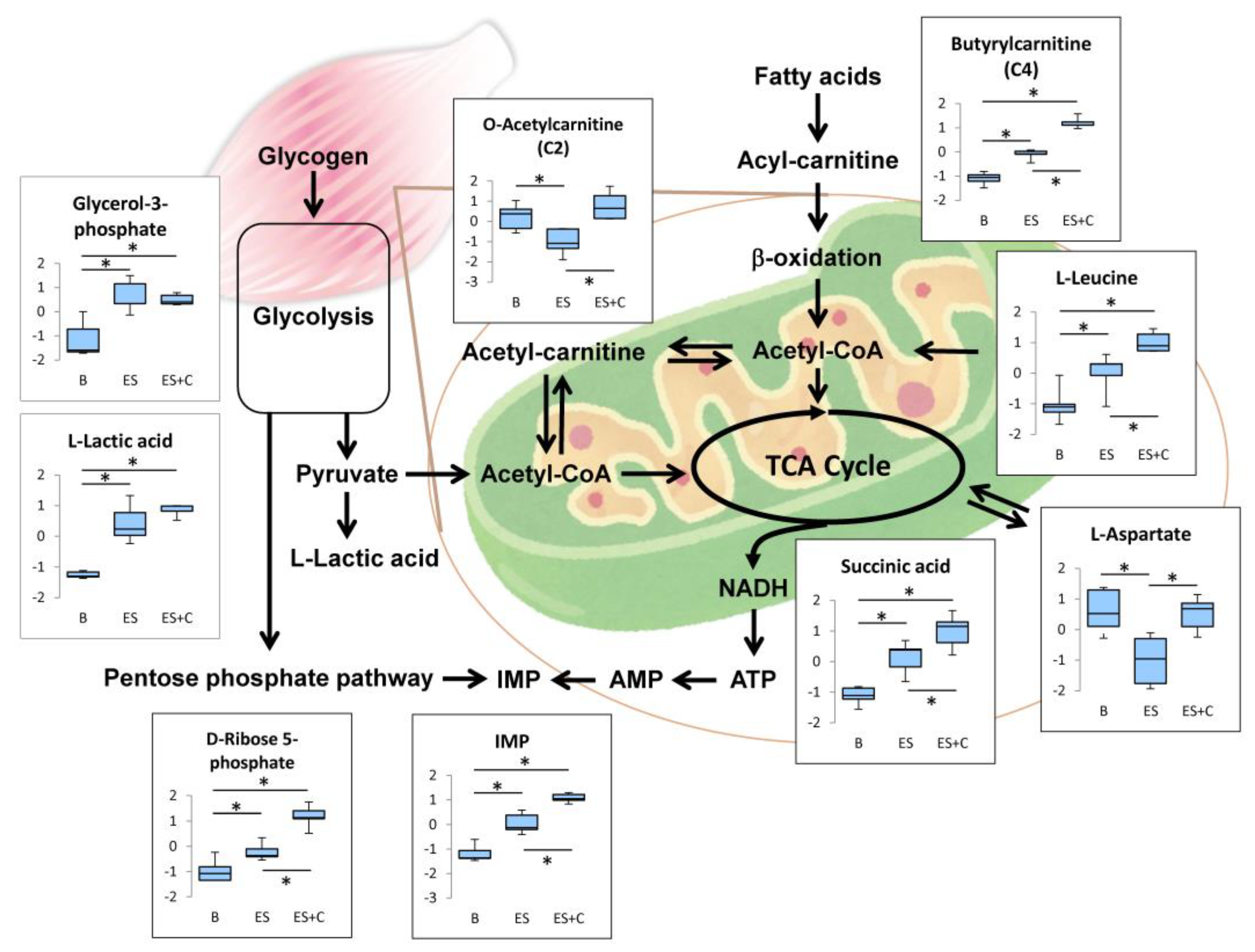 Nutrients 11 01819 g008