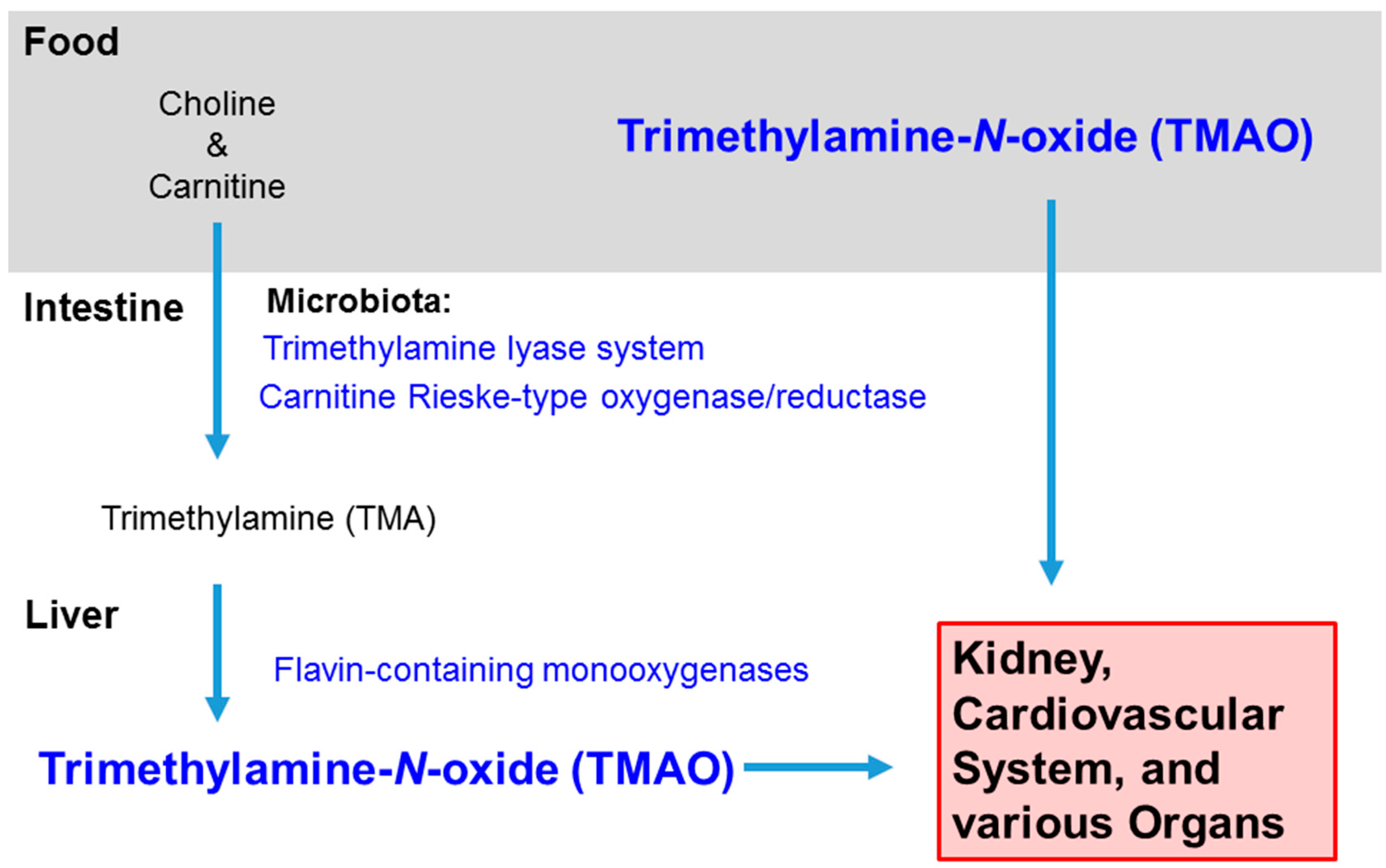 Nutrients 11 01821 g001