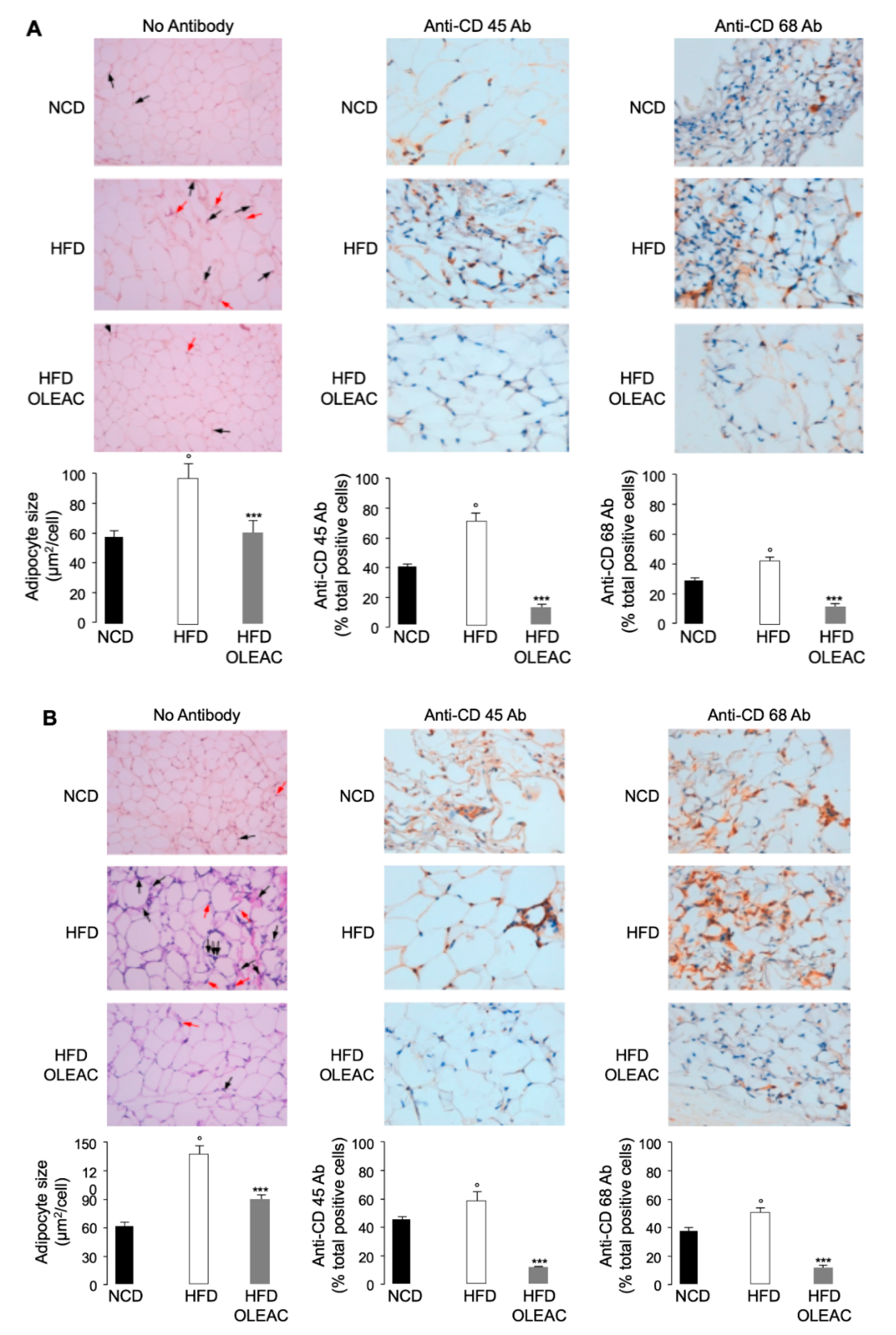 Nutrients 11 01829 g001