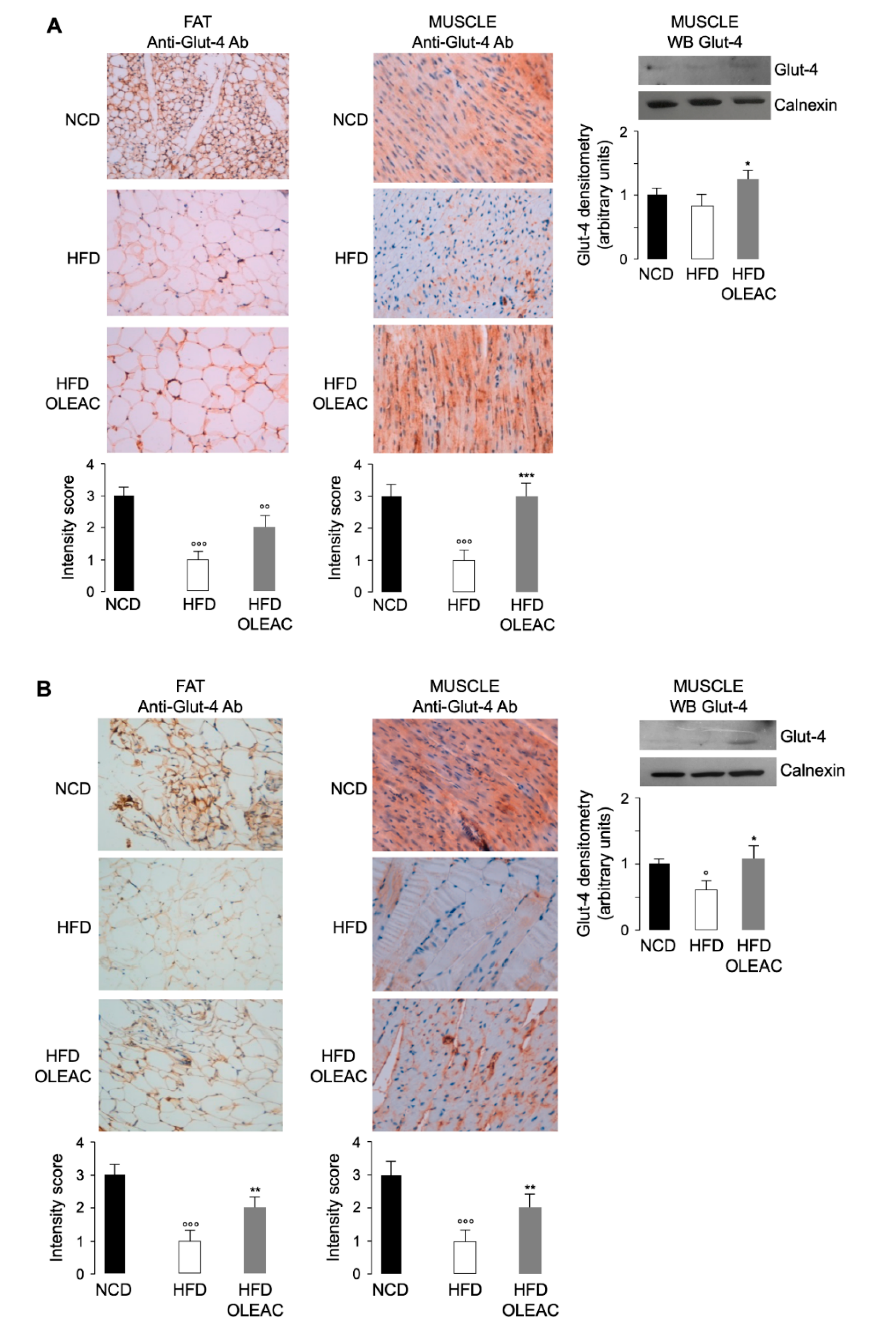 Nutrients 11 01829 g003